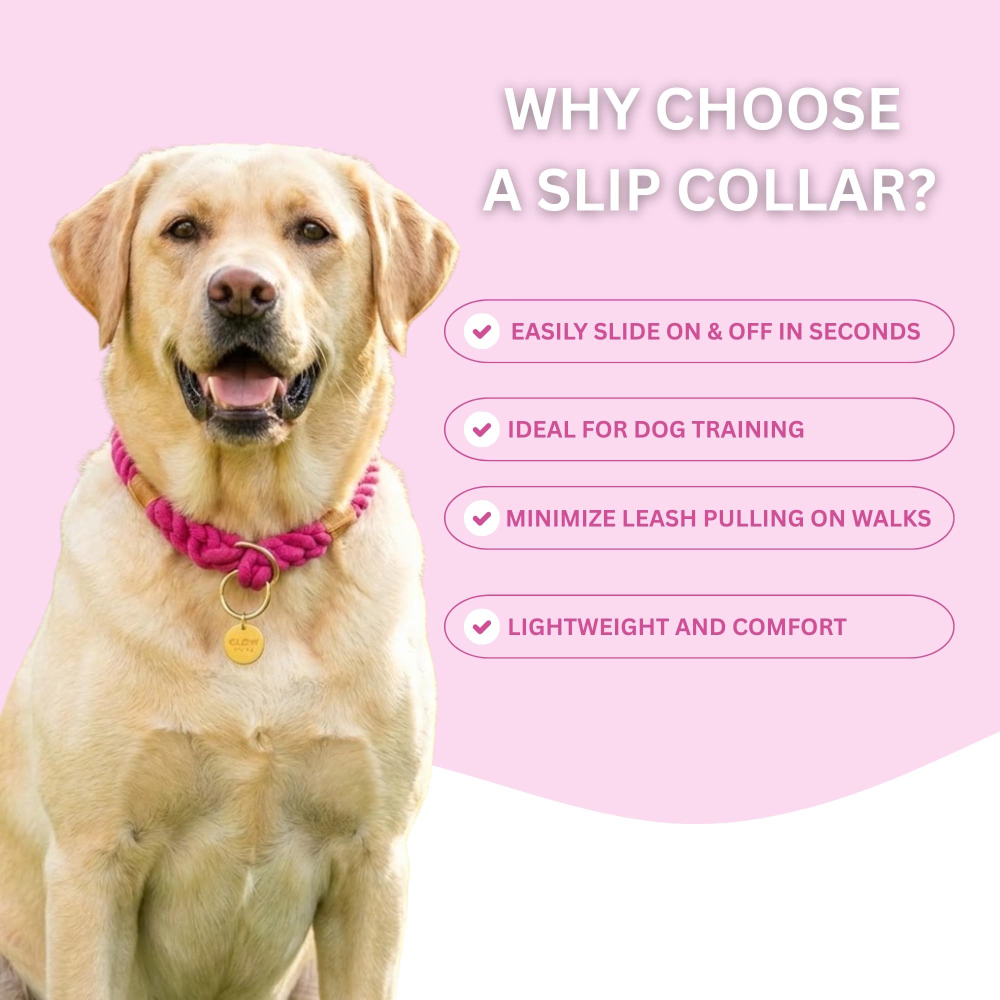 Glow Pups Ombre Rope Dog Collars, Braided Slip Collar For Medium And Large Dogs, Durable And Adjustable Fit, Handmade Stylish Ro
