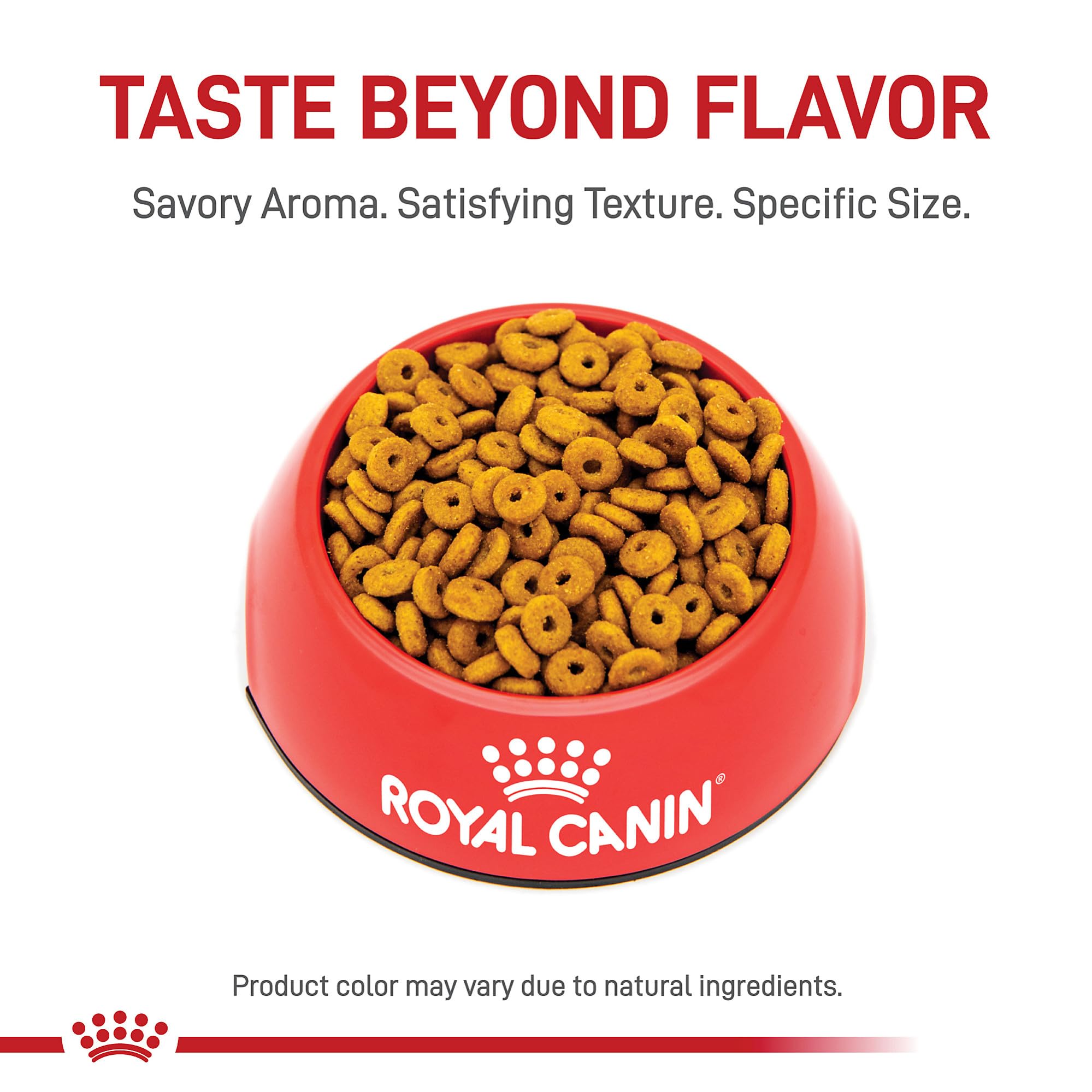 Royal Canin Feline Care Nutrition Appetite Control Care Dry Cat Food, 14 lb