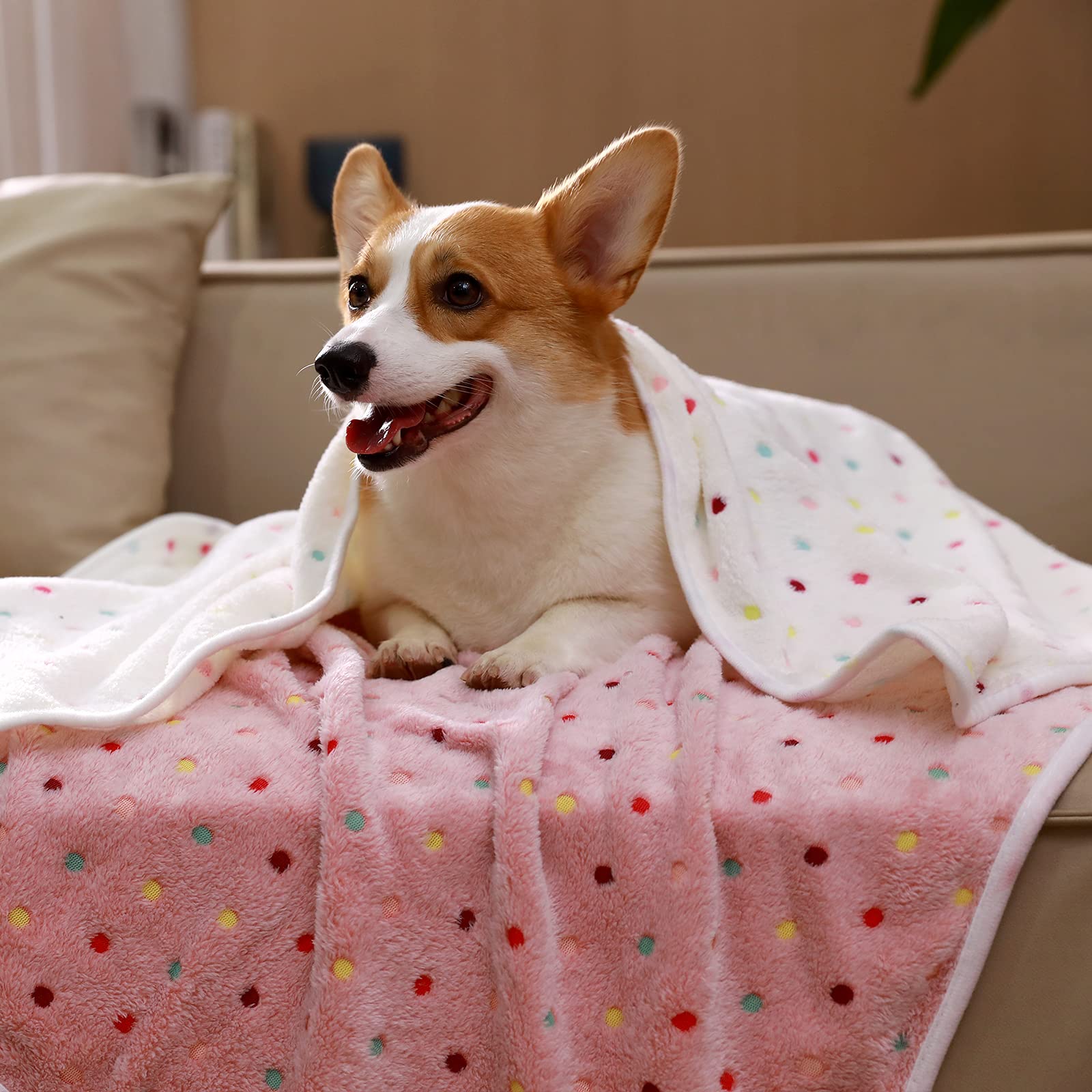 1 Pack 6 Blankets Dog Cat Soft Fluffy Fleece Pet Blanket Warm Cute Print Design Puppy Kitten Blanket Doggy Dot Large(41X31)