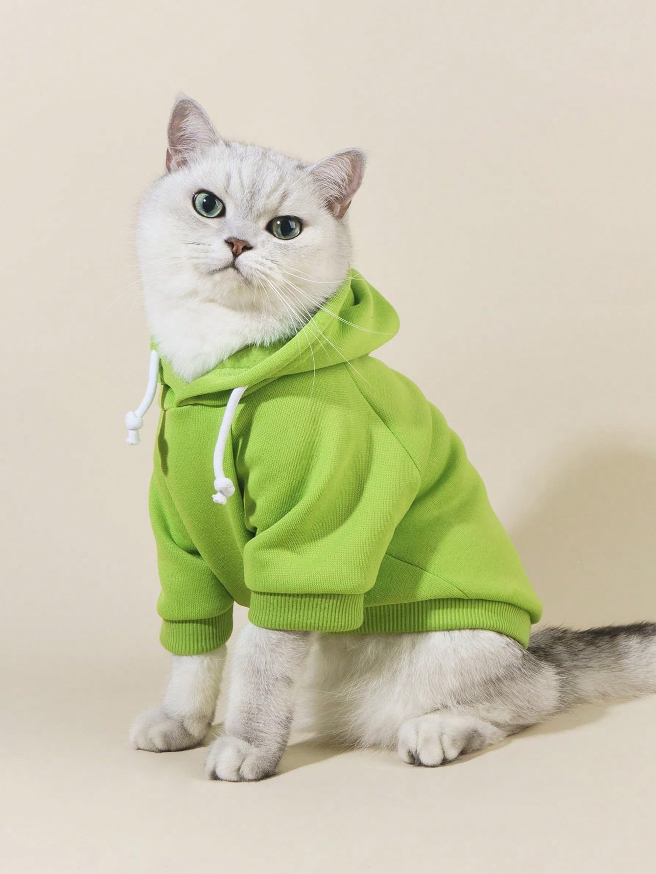 Qwinee Basic Dog Hoodie, Dog Warm Jacket, Cat Apparel, Dog Shirt, Dog Clothes For Puppy Kitten Small Medium Dogs Cats Green Xl