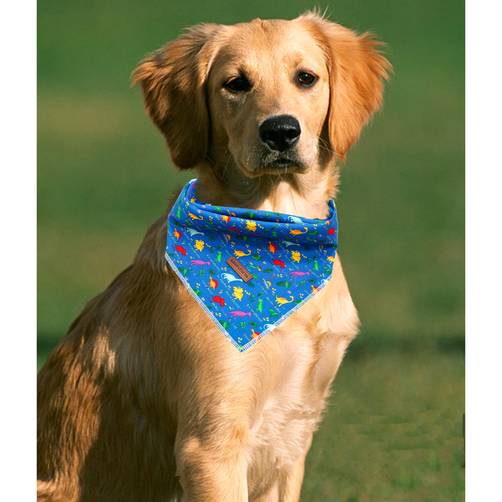 Elegant Little Tail Bandana - Premium, Washable Dog Scarf, Adjustable For Medium/Large Dogs