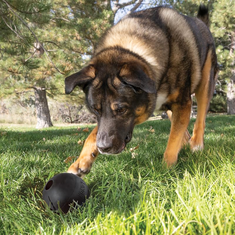 KONG Extreme Ball 2-Pack - Durable Rubber Dog Toy for Power Chewers - Tough Fetch Ball with Hole for Treats - Ideal for Training