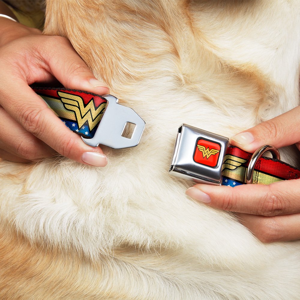 Buckle-Down Dog Collar Seatbelt Buckle, 1" Wide, Fits 15-26" Neck, Multicolor Wonder Woman Logo, Durable Polyester & Steel