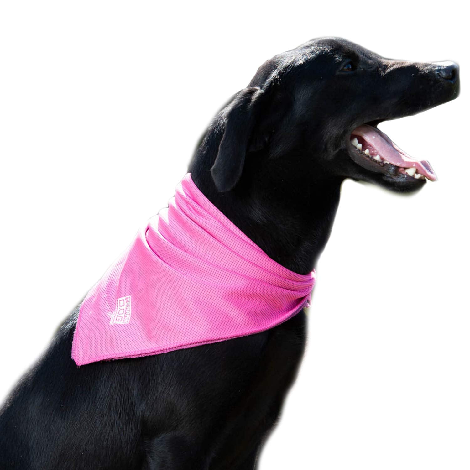 Terrain Dog Cooling Bandana - Cooling Fabric Powered By Coolcore Technology