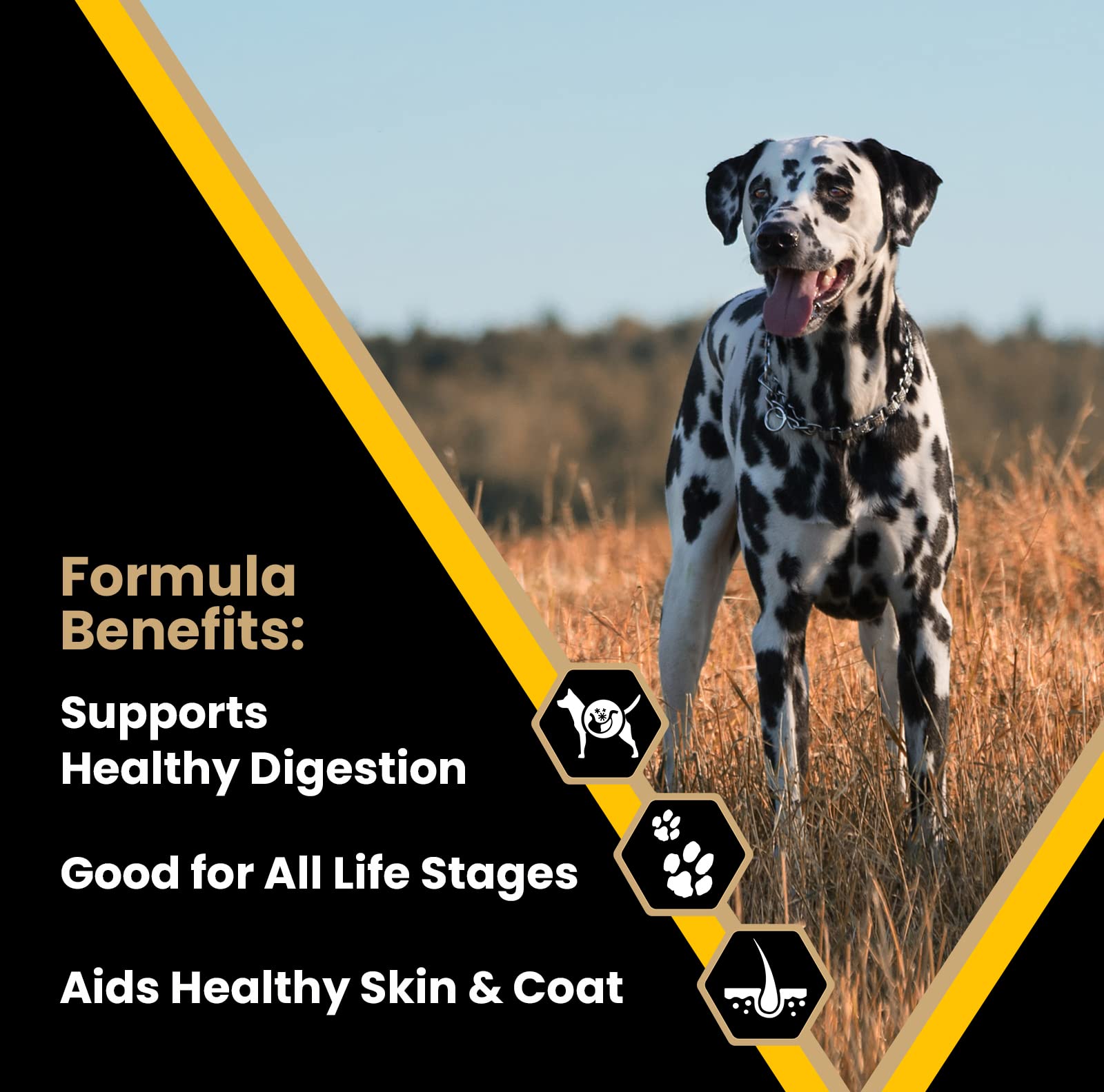 VICTOR Super Premium Multi-Pro Dry Dog Food - Gluten Free with Beef, Chicken and Pork Protein for Normally Active Dogs - All Bre