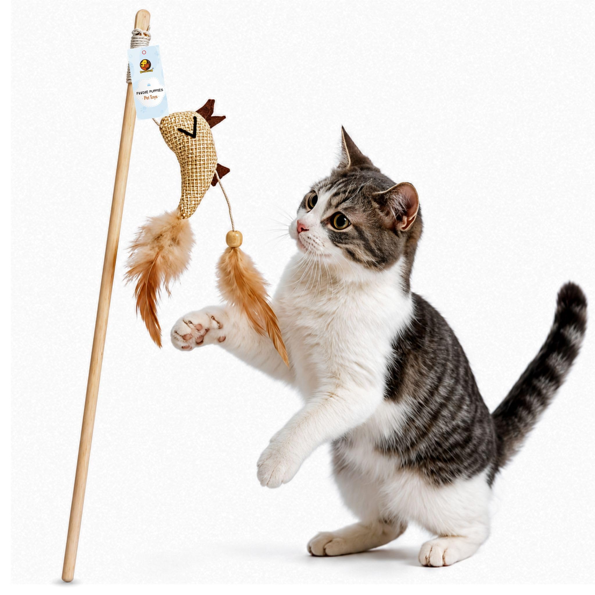 Foodie Puppies Interactive Cat Teasing Wand  (Double Dangler Bird) For Cats And Kittens | Wooden Teaser With Stringed Feathers 