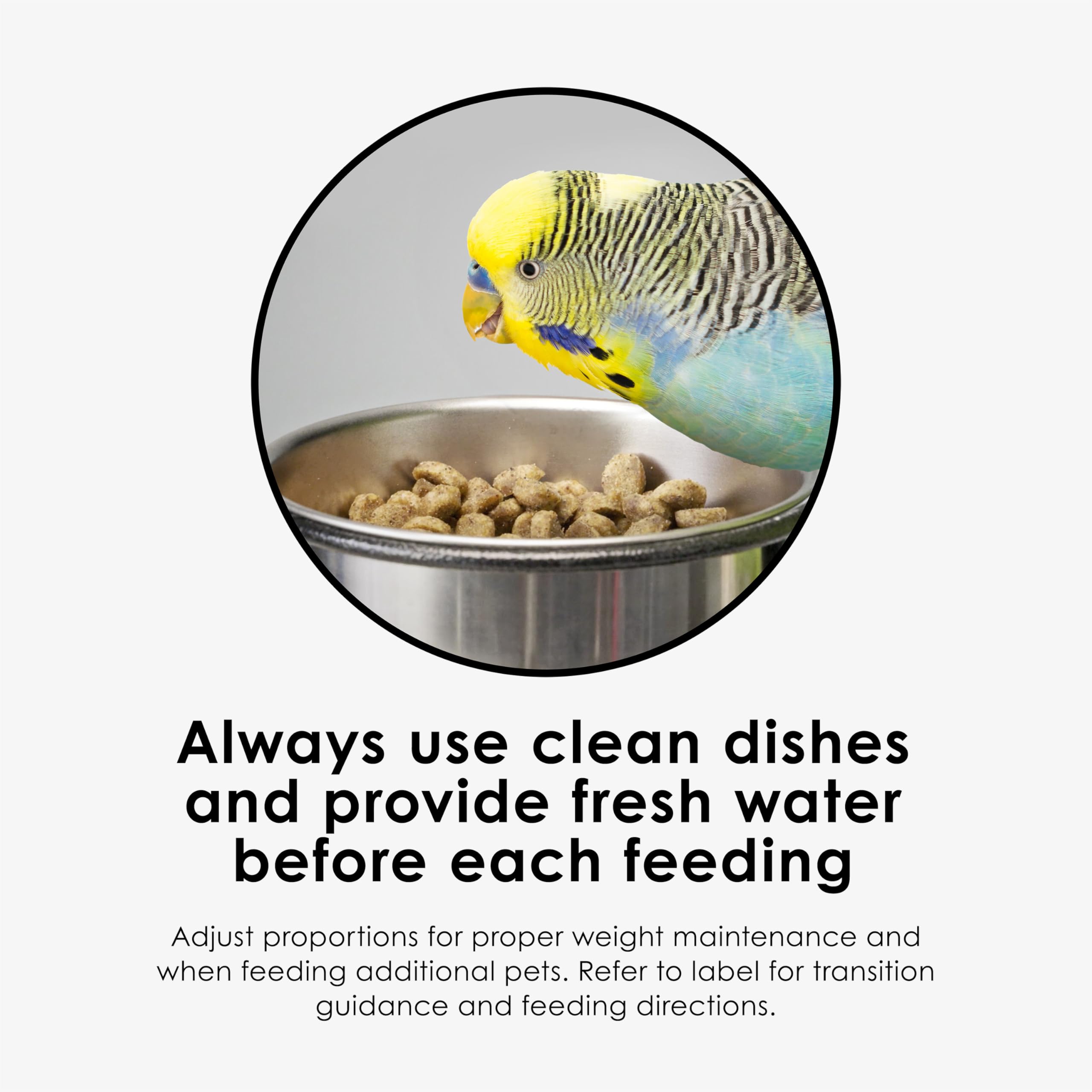 Kaytee NutriSoft Parakeet and Cockatiel Food - 2 lb