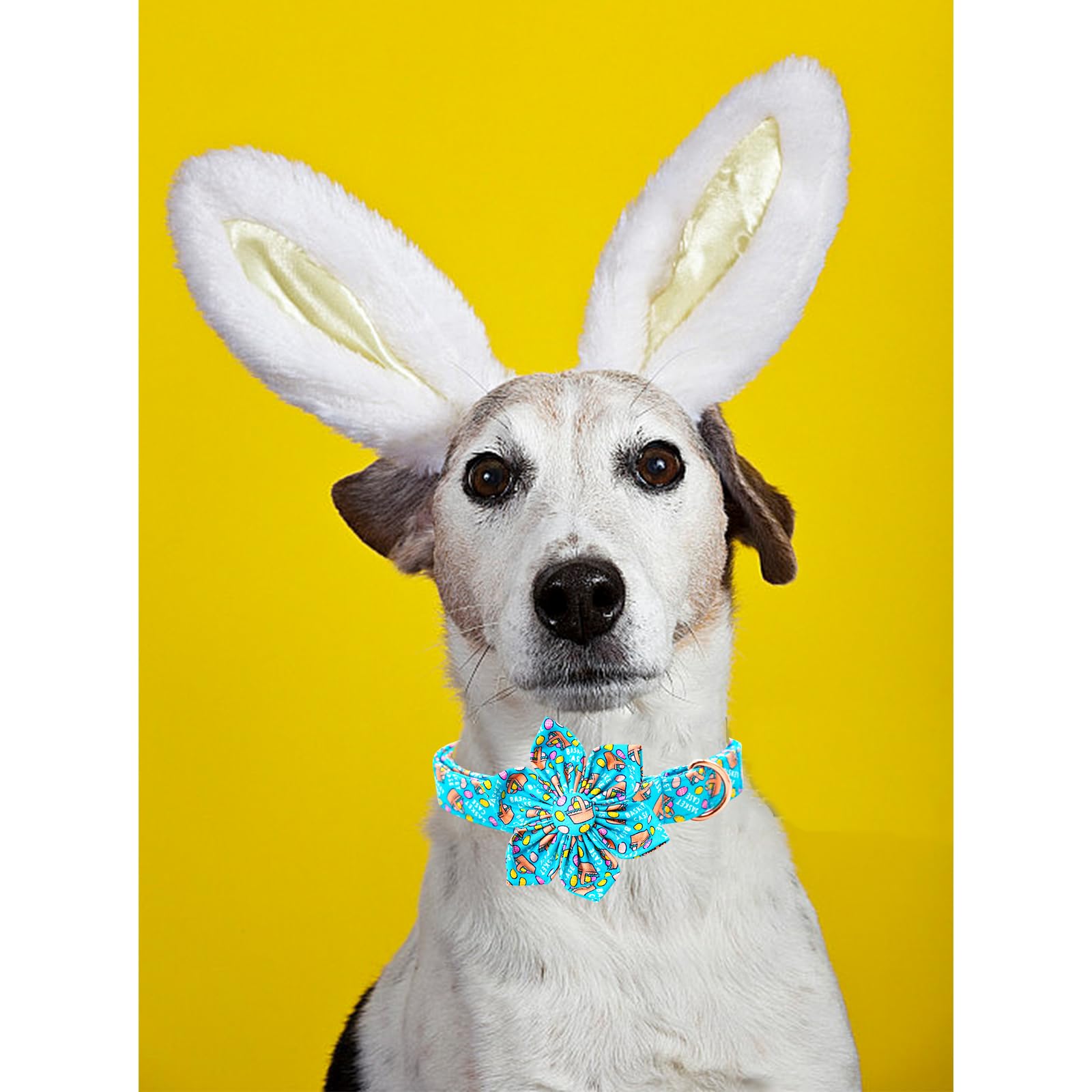 Lionheart Glory Easter Day Dog Collar With Flower For X-Small Dogs, Colorful Spring Puppy Collar With Easter Egg And Flowers