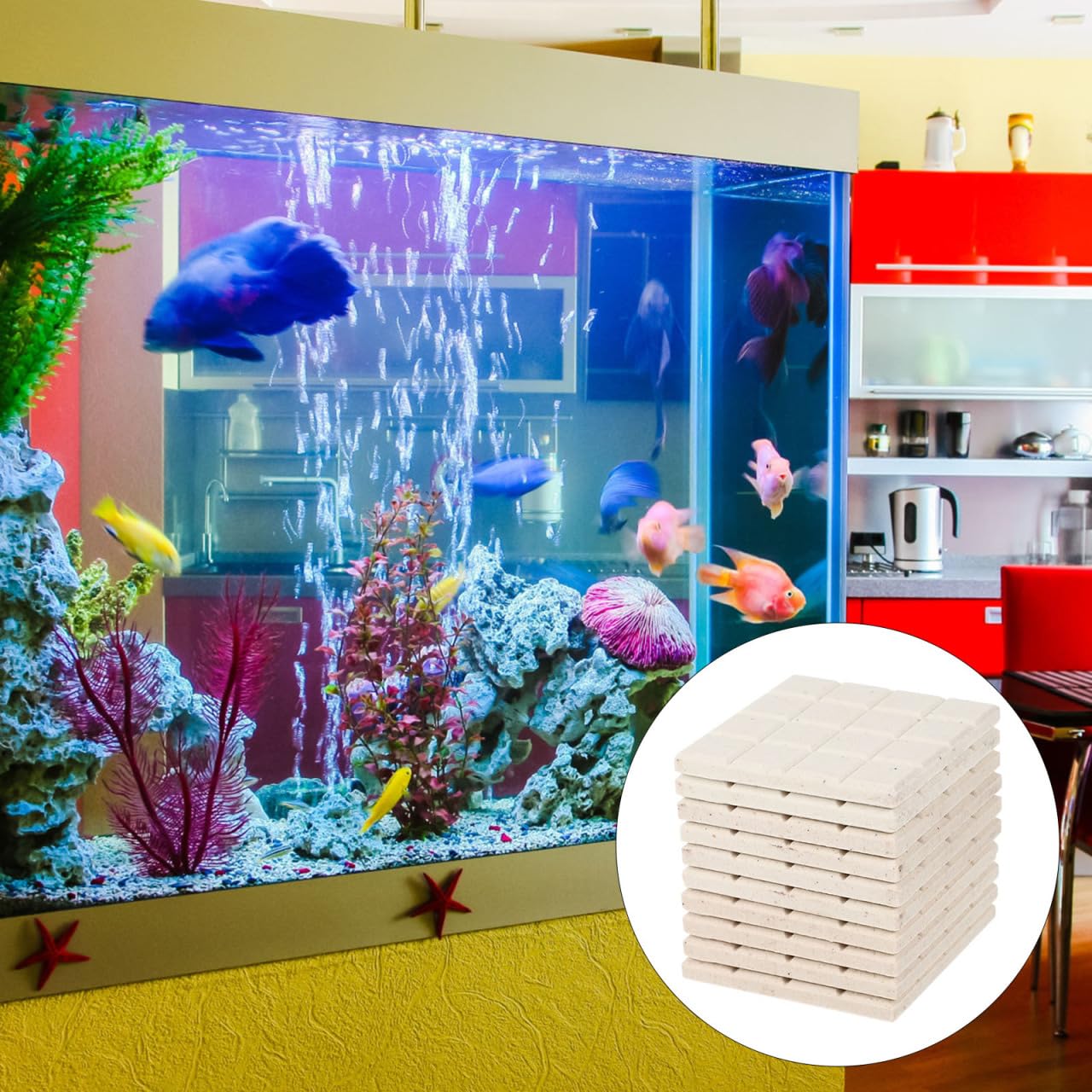 Ipetboom 10pcs Ceramic Coral Frag, 2inch Aquarium Coral Rack Support Bracket Base Stand Square Base Tiles Heat Diffuser Sheet fo