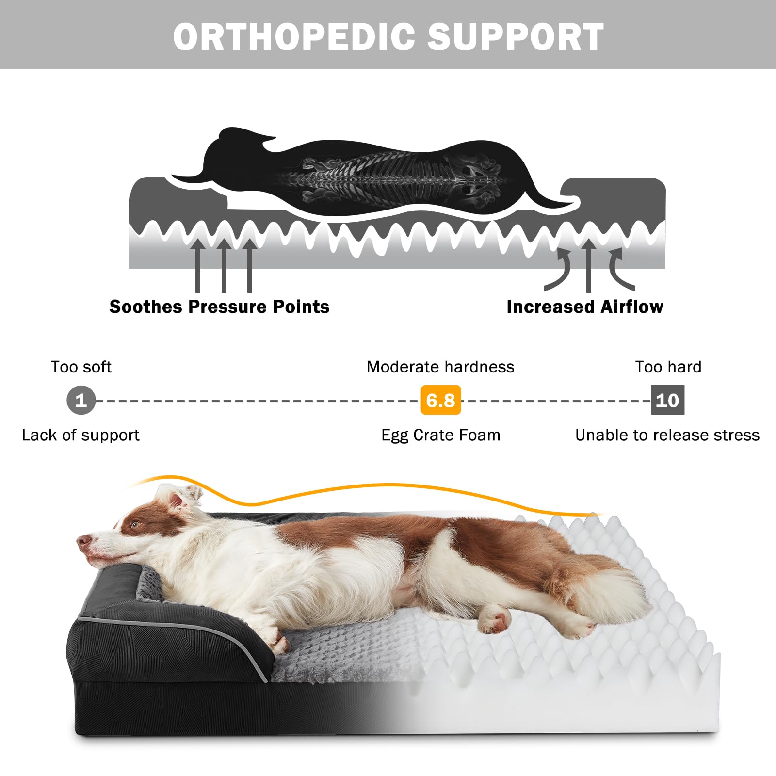 INVENHO Orthopedic Medium Dog Dogs, Egg-Crate Foam Dog Couch with Washable Removable Cover, Waterproof Lining and Nonskid Bottom