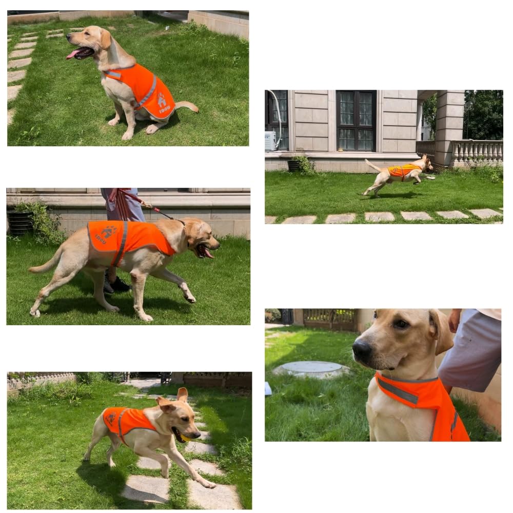 Idou Orange Reflective Dog Safety Vest - High Visibility For Walking, Jogging & Training - Size Xl