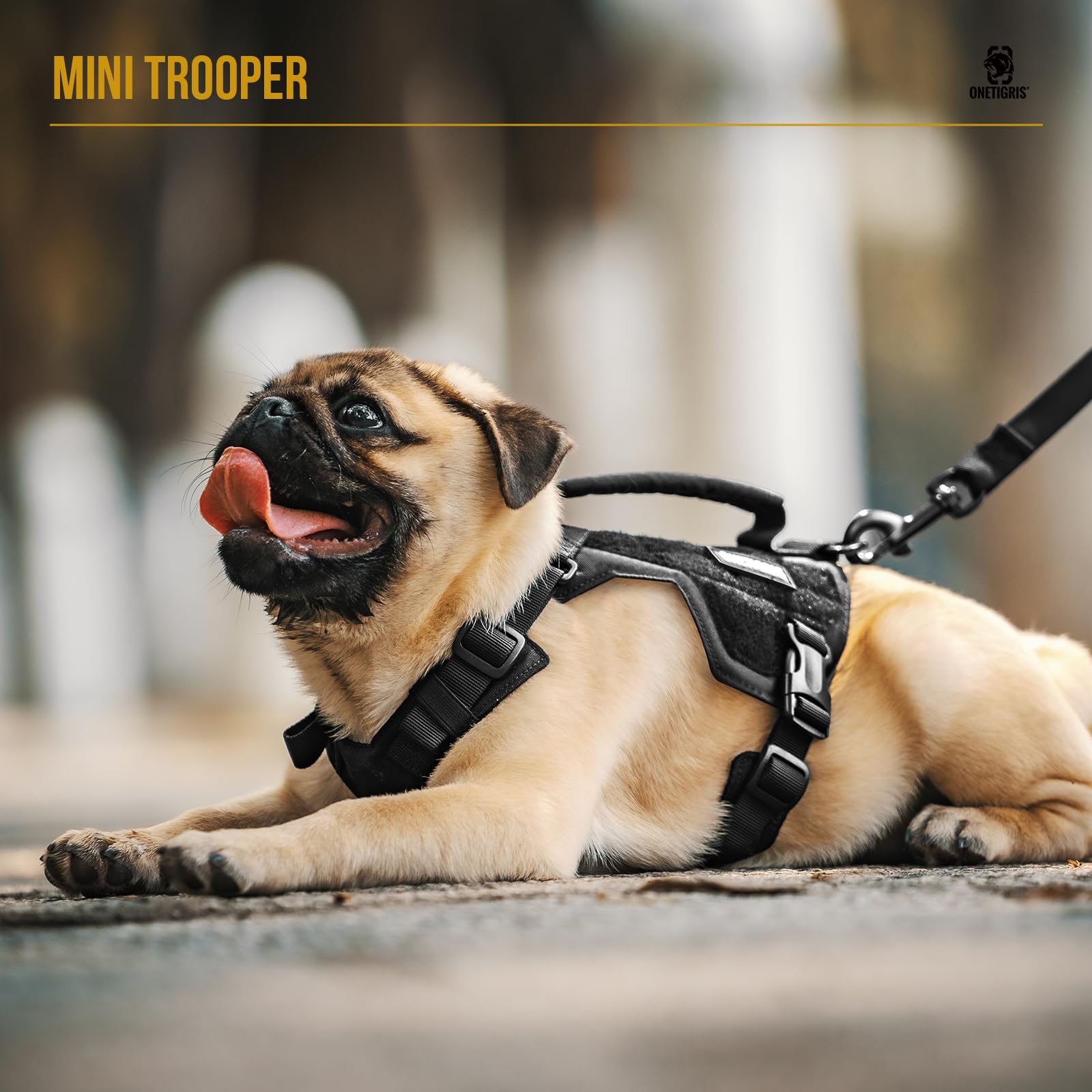 ONETIGRIS Mini Trooper Dog Harness & Leash Set, No Pull, Adjustable, XS, Black, Nylon, Model DG-GBX36