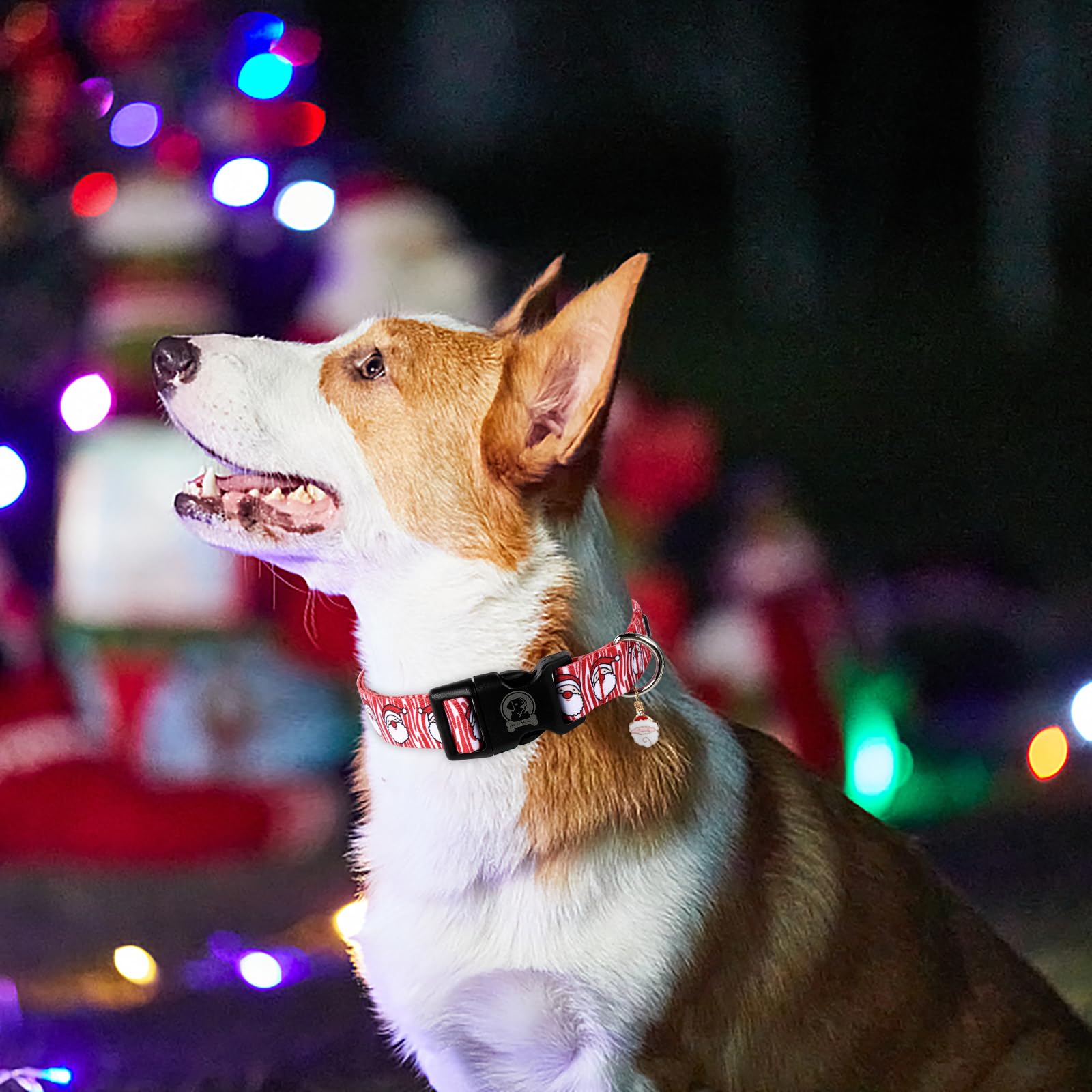 Mr. Chubbyface Christmas Dog Collar,Santa Claus Pattern Dog Collar, Cute Adjustable Christmas Santa Collar For Small Medium Larg