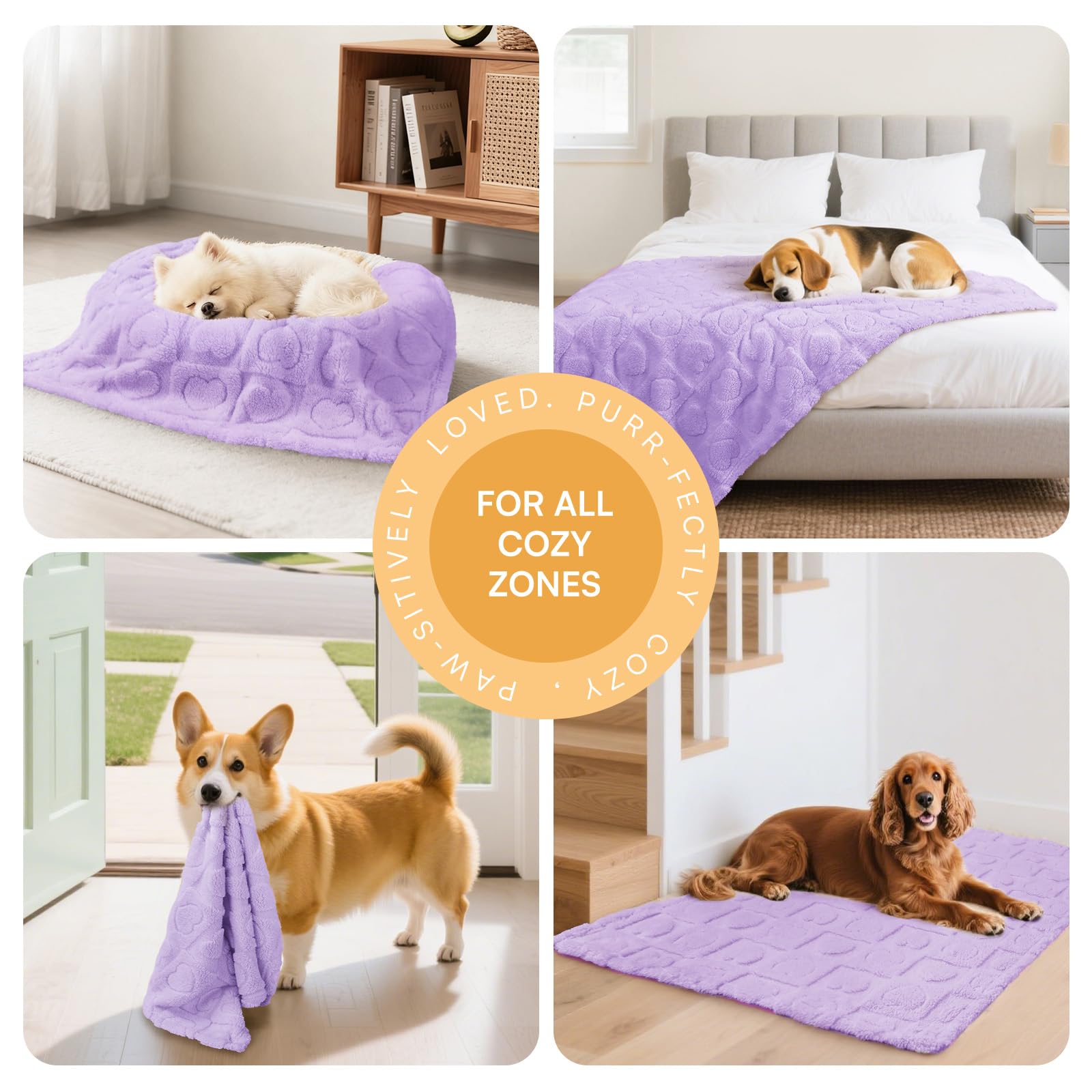Luciphia Small Dog Blanket Washable Pet Bed Cover Soft Fluffy Puppy Blanket with Premium Fleece 300GSM Cozy Calming Cat Blankets