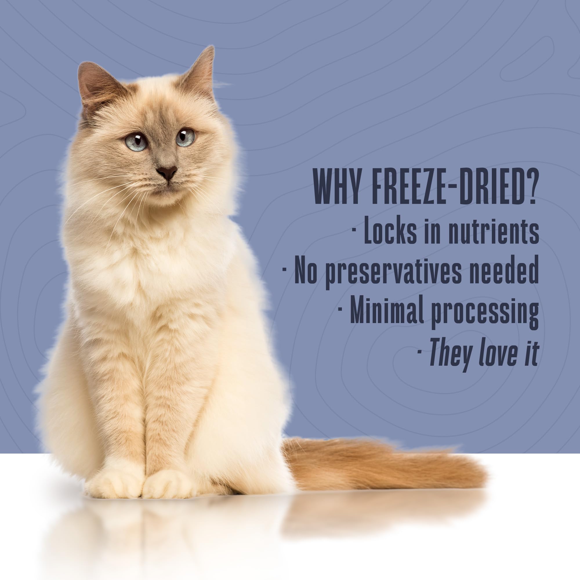 Whole Life Cat Freeze Dried Cat Food - Bland Diet with Sensitive Stomachs, Digestive Support, Anti-Diarrhea & Vomit Remedy - Hum