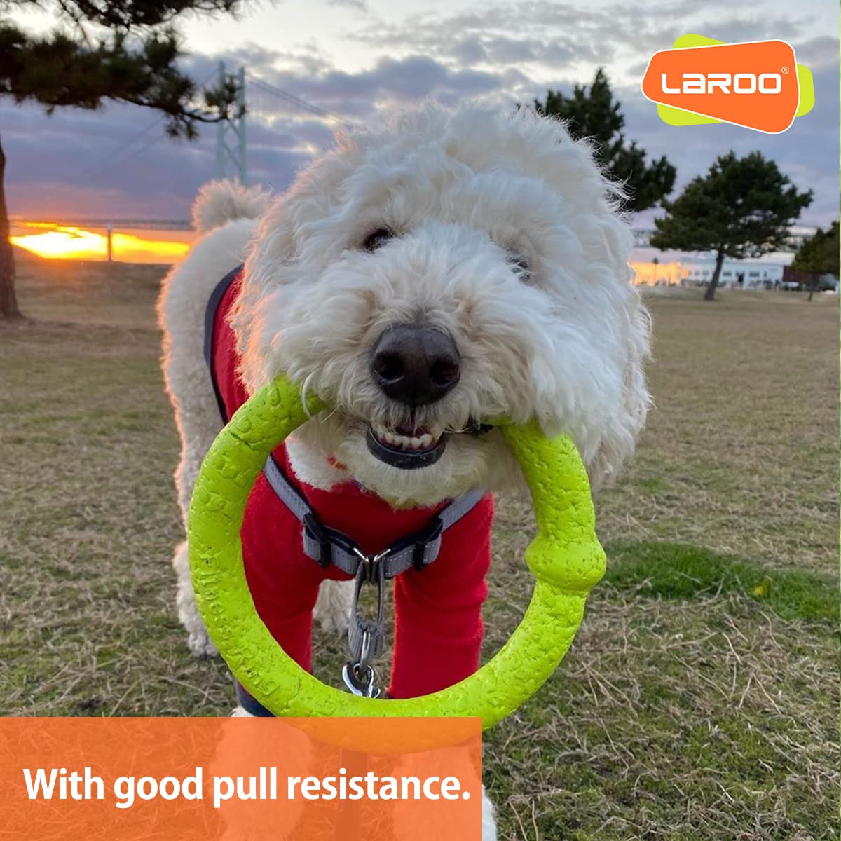 Laroo Dog Flying Ring Toys, Floating Flying Disc Abs Durable Interactive Chew Toys For Training Outdoor Playing Puppy Medium Lar
