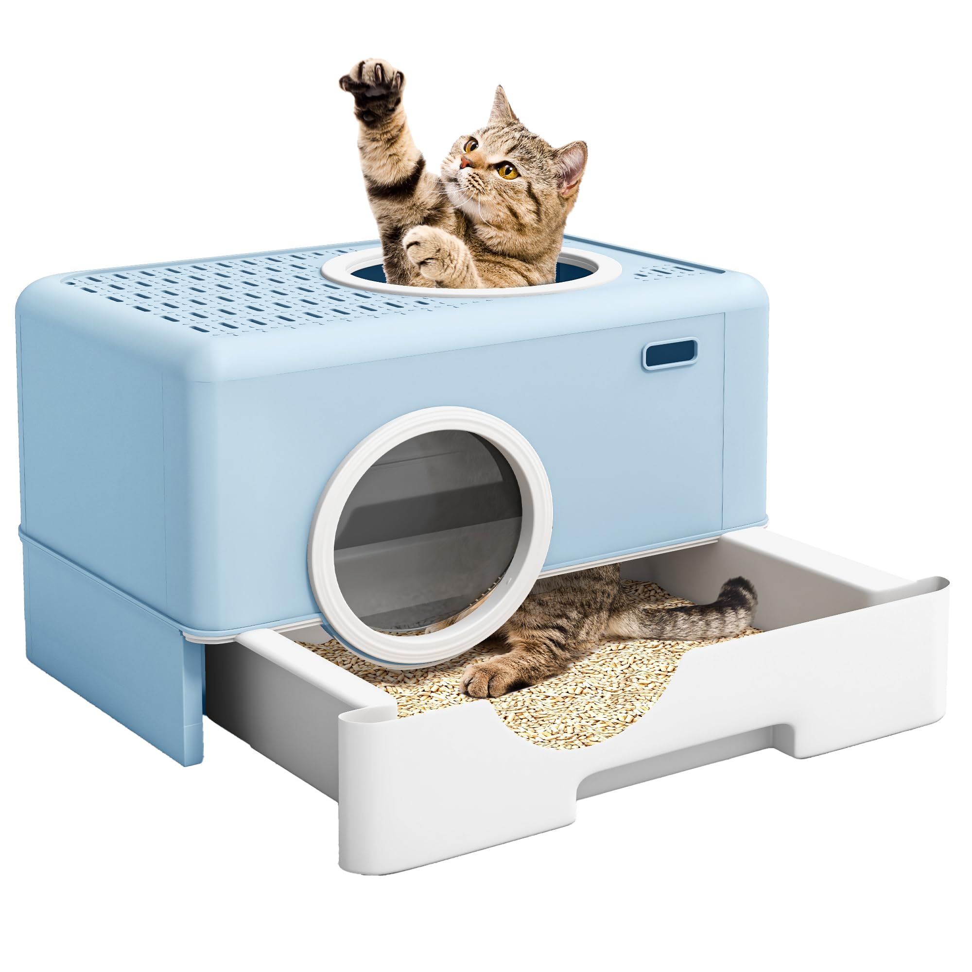 Dwvo Enclosed Cat Litter Box With Two-Way Entry/Exit, Large Hooded Anti-Splash Cat Toilet With Lid, Hidden Litter Scoop - Blue