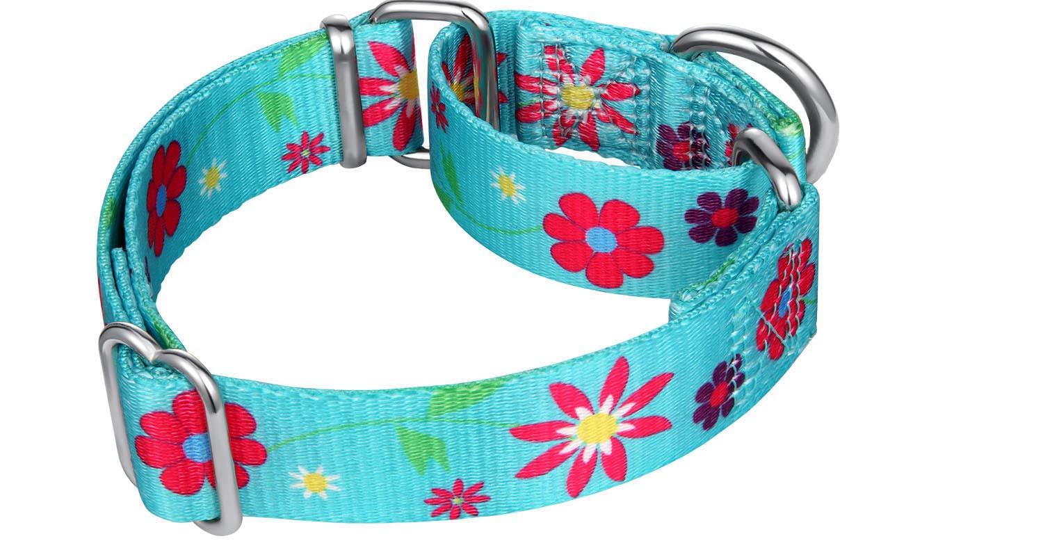 Dazzber Puppy Dog Collar Floral Print Martingale Collar - No Pull Pet Collar, Heavy Duty Adjustable Dog Collar, Extra Small, Neck 8 Inch -11 Inch, Sun Flower (Teal)