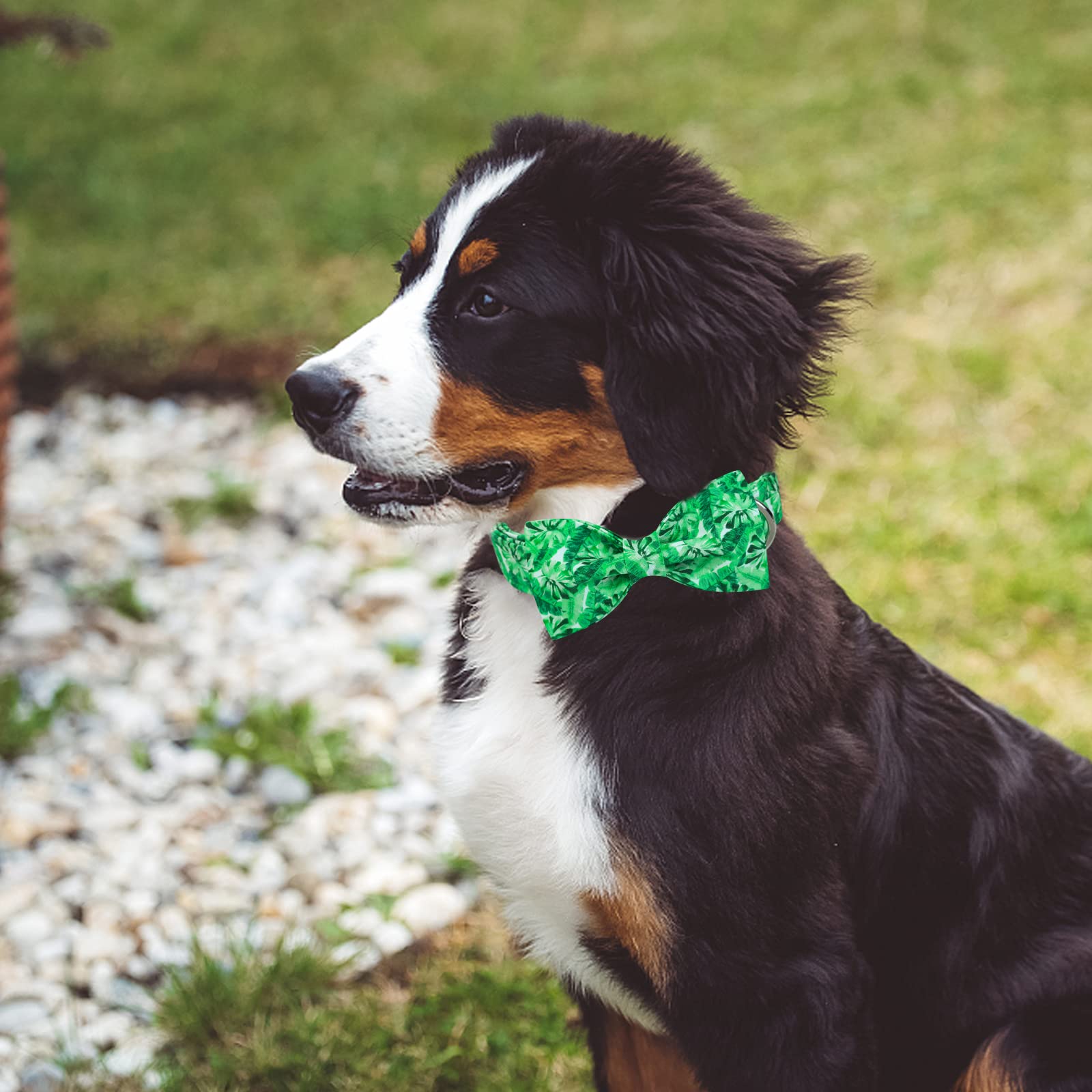 Maca Bates Flora Dog Collar With Bow Bowtie For Dogs Bows Tie Adjustable Breakaway Spring Floral Bows Tie Collars Accessories Bi