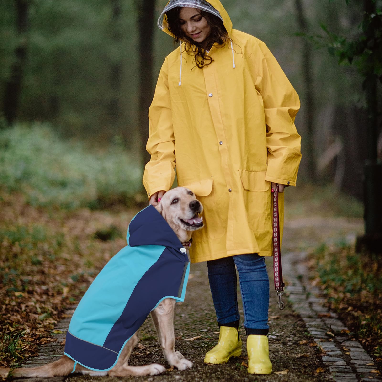 Iecoii Dog Raincoat,Waterproof Rain Coat For Small Dogs,Adjustable Pet Rain Jacket With Hood,Lightweight Doggy Raincoats With Re