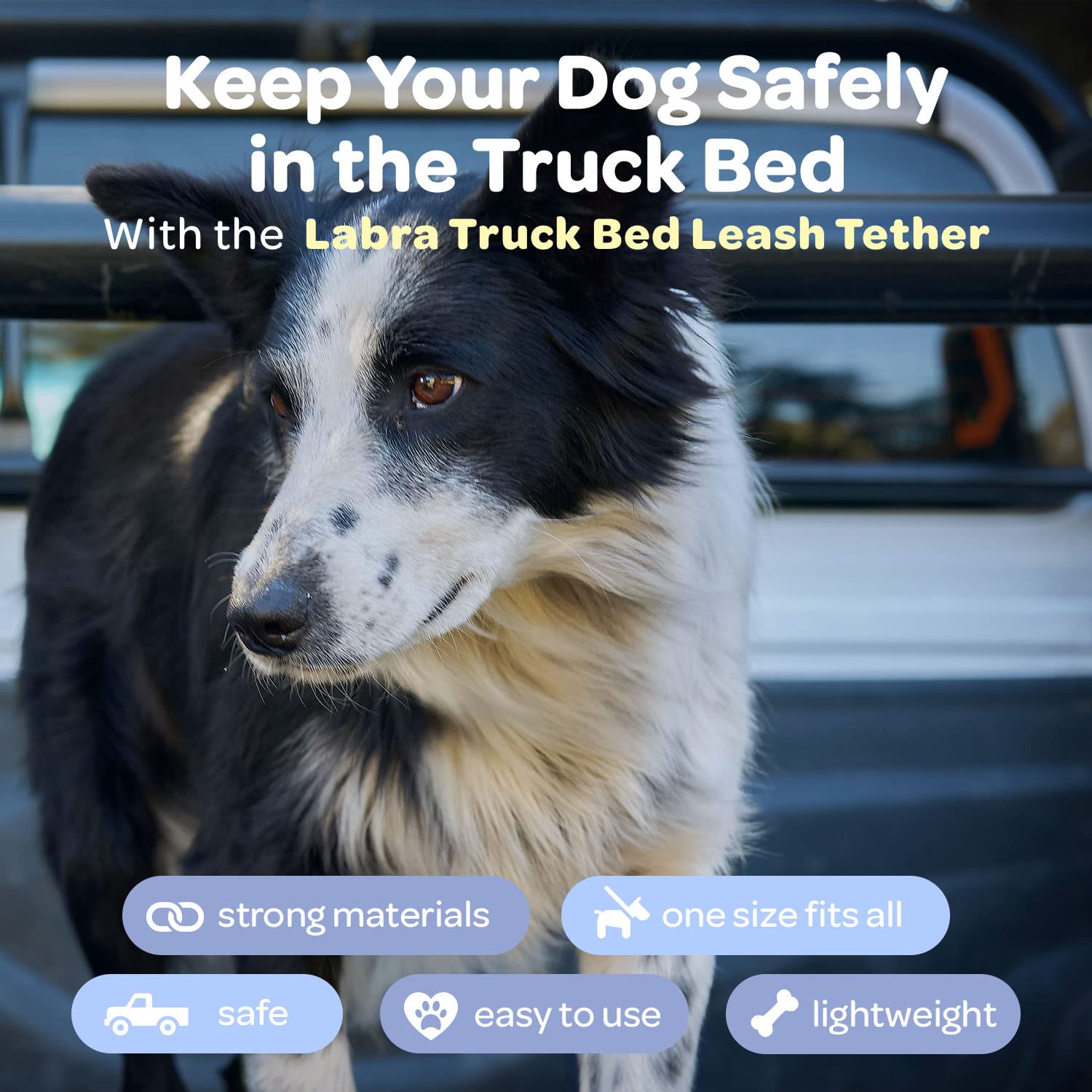 Labra Dog Truck Bed Leash Tether Tie Down System - Canine Leash For Truck Or Car Outdoor Bed, Out Leash, No Chain, Comfortable Pickup Bed Leash