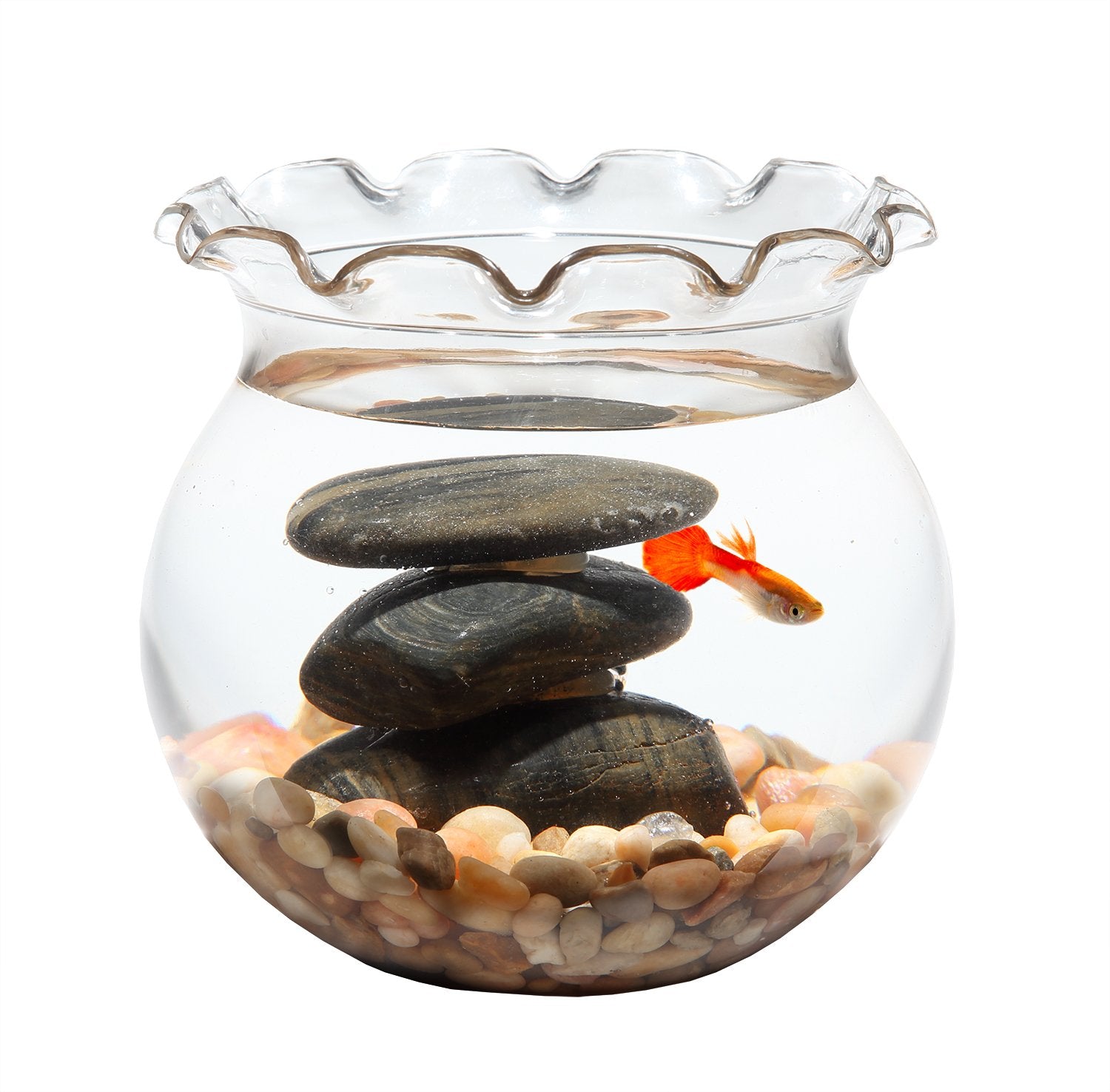 Koller Products 1 Gallon Fish Bowl - Impact-Resistant Plastic