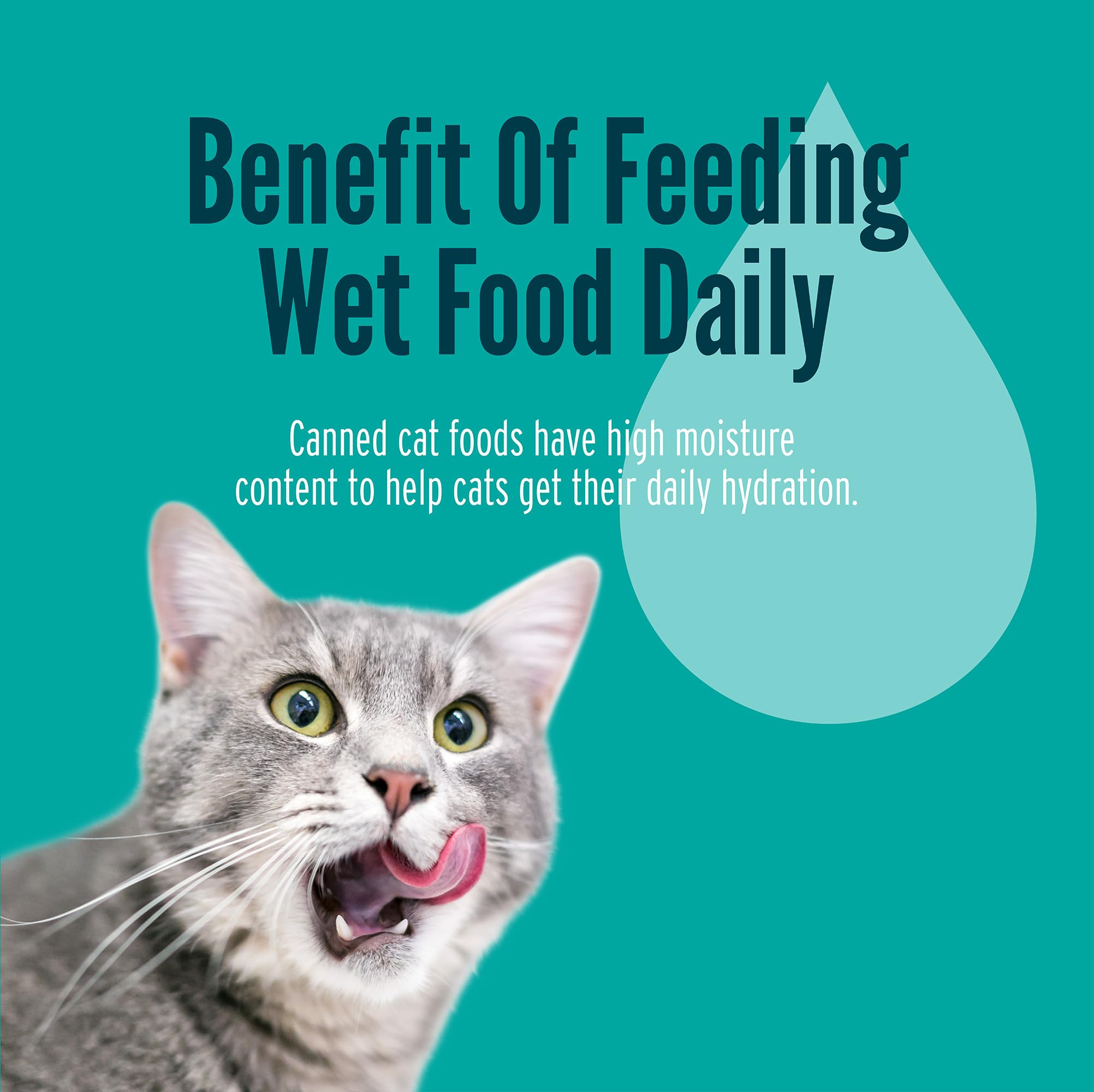 A Strong Heart Canned Wet Cat Food, Dinner Variety Pack - 5.5 oz Cans (Pack of 32), Made in The USA with Real Chicken, Turkey &