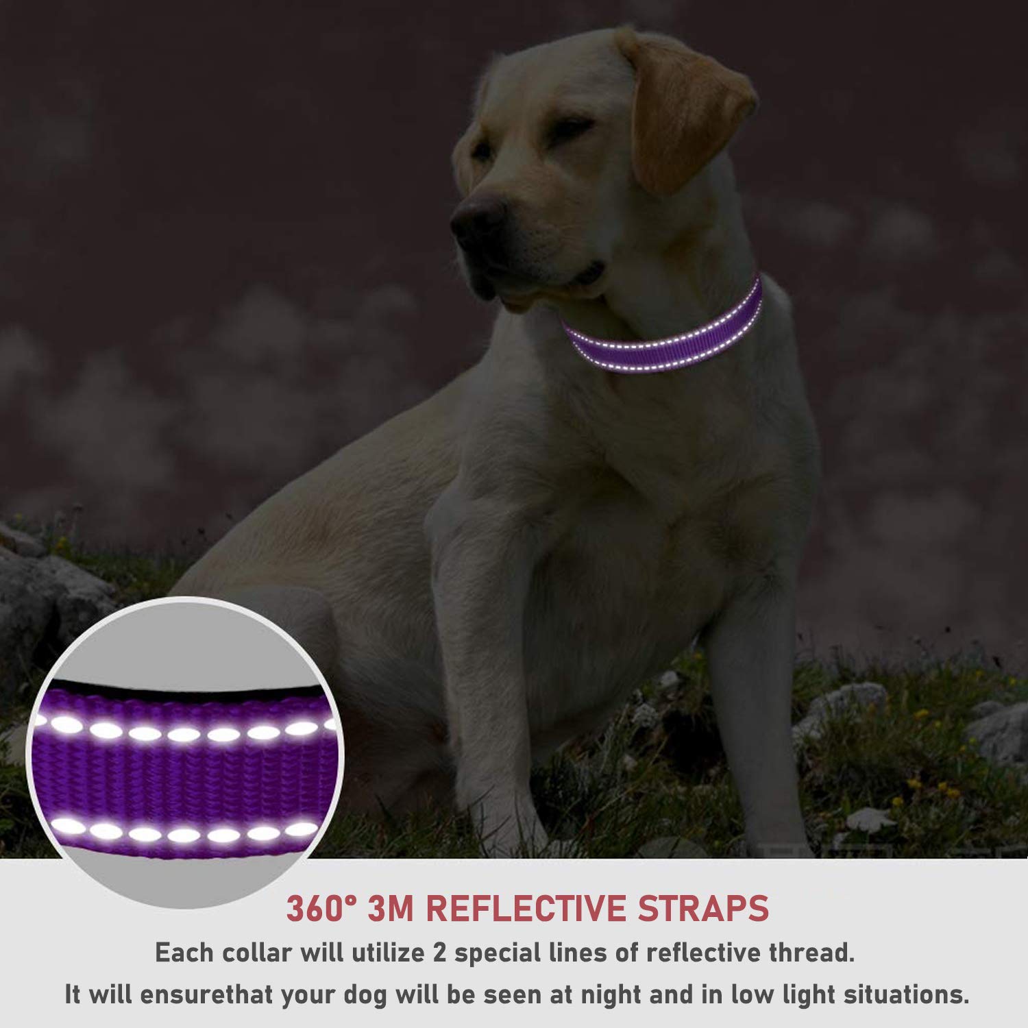 Reflective Dog Collar With Buckle Adjustable Safety Nylon Collars For Small Medium Large Dogs, Purple L