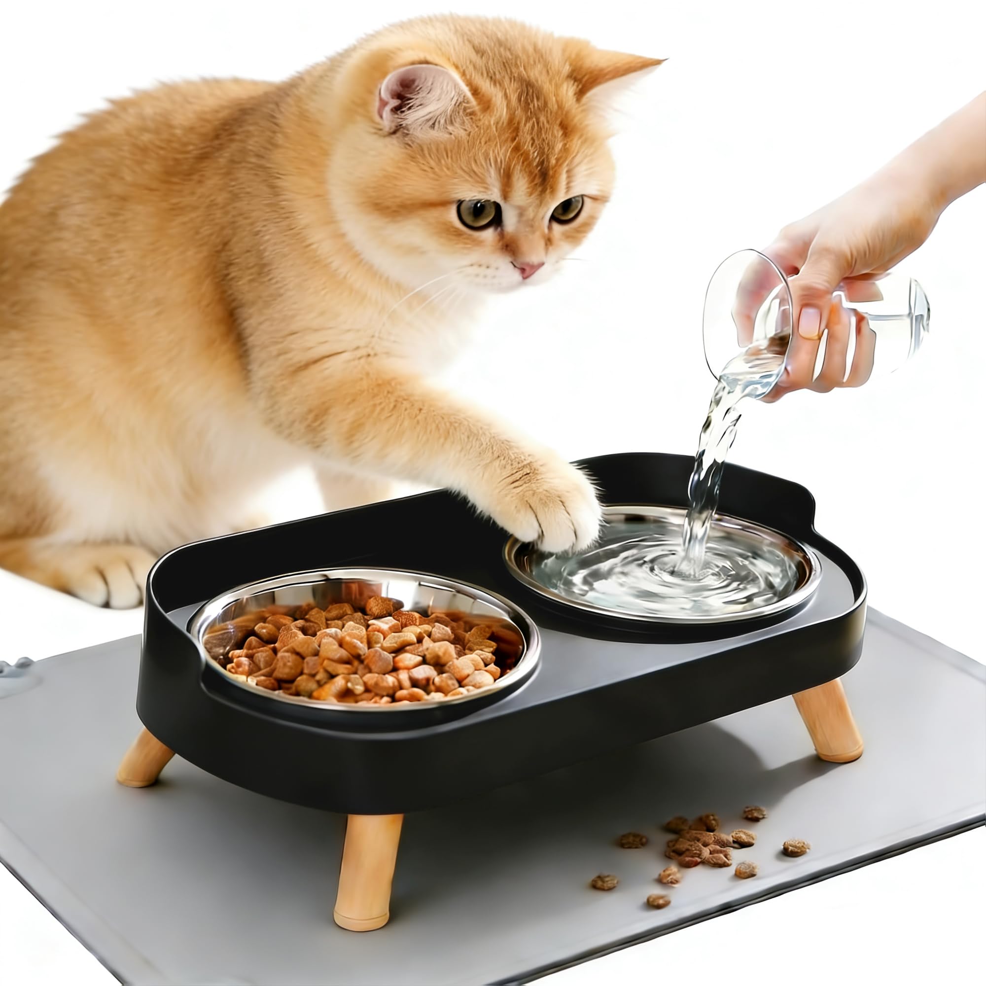 Elevated Cat Bowls with Food Mat, Splash Proof Anti Vomiting Raised Cat Food and Water Bowl Set, 2 Stainless Steel Dishes for Ca