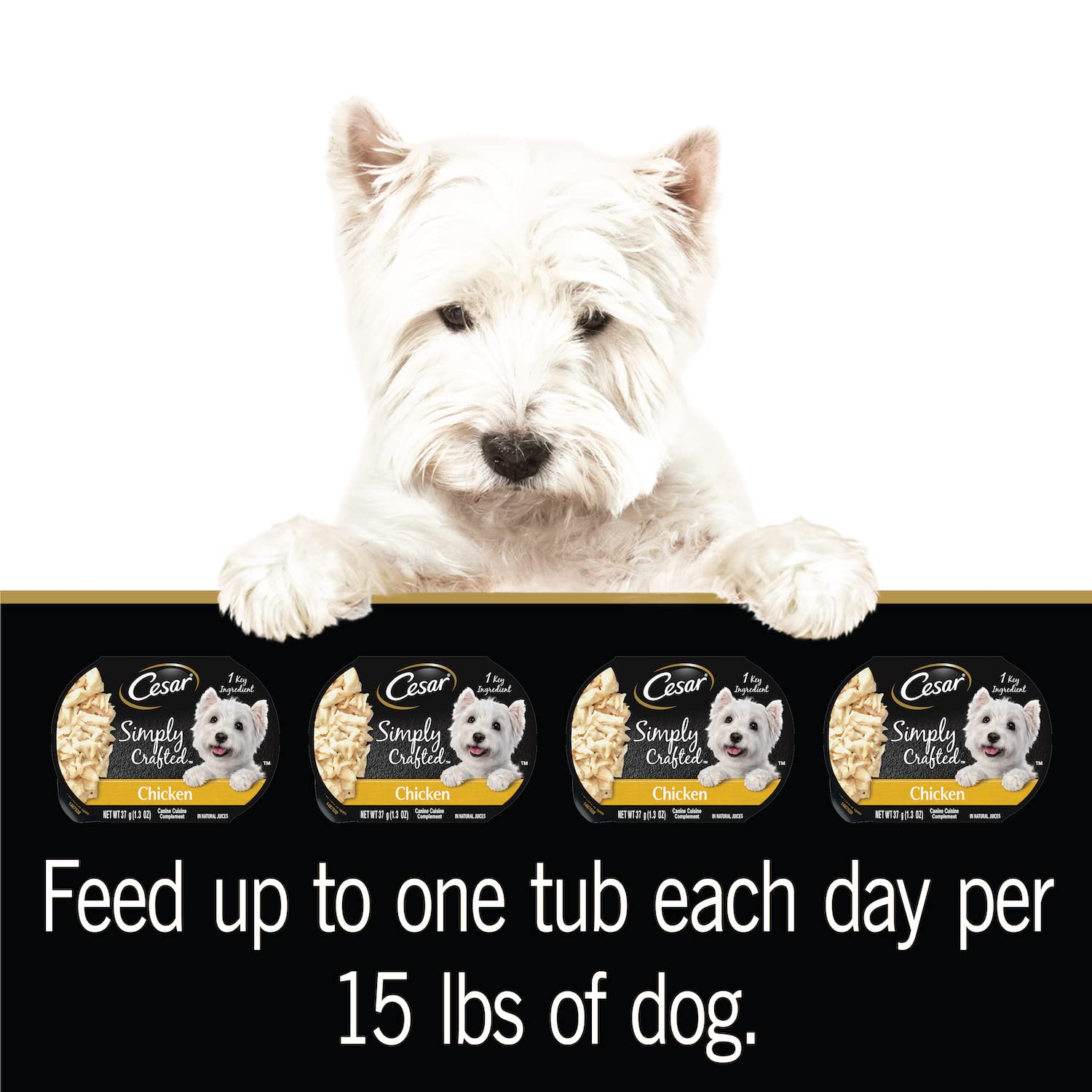 Cesar Simply Crafted Adult Wet Dog Food Toppers for Dry Food, Chicken, 1.3 oz Tubs, 24 Count