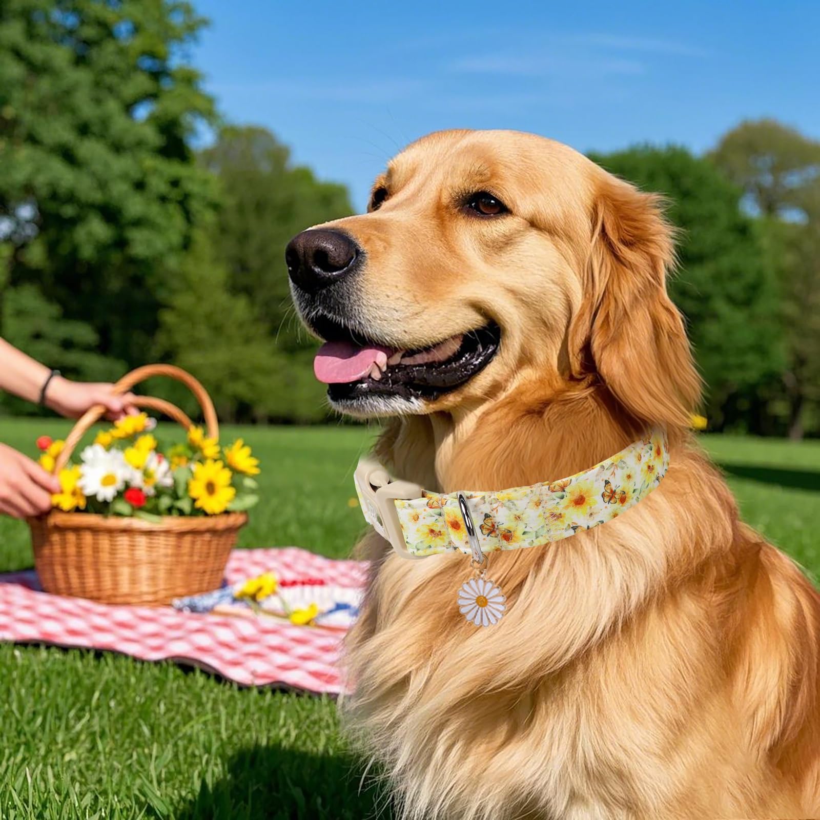 Babole Pet Adjustable Floral Dog Collar, Yellow Sunflower&Butterfly Dog Collars For Puppy & Tiny Dogs, Lightweight Quick-Release