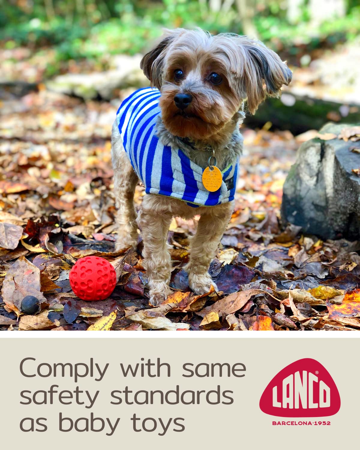 Small Ball Dog Toy - 100% Natural Rubber (Latex) - Soft Squeaky Dog Toy - Small Breeds Puppies - Indoor Play - Free From Harmful Chemicals - Small (2.35') - Set Of 2