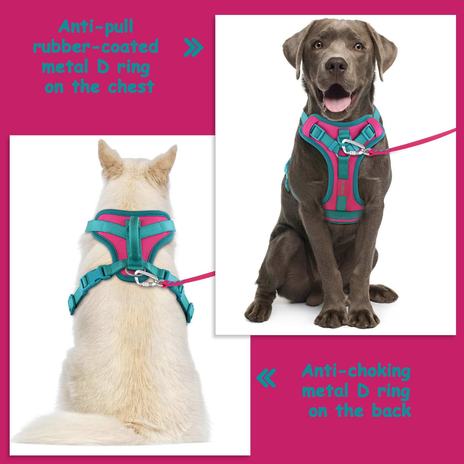 Wolfone No Pull Dog Harness Adjustable Soft Padded Pet Vest With Control Handle Adorable Daily Harness For Dogs(Pink Peacock Xl)