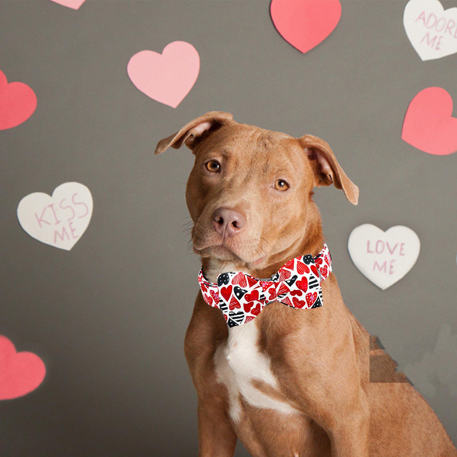 Lionheart Glory Dog Bow Collar Valentine'S Day Dog Collar For X-Large Dogs Red Hearts Print Dog Collar With Bowtie Spring Dog Co