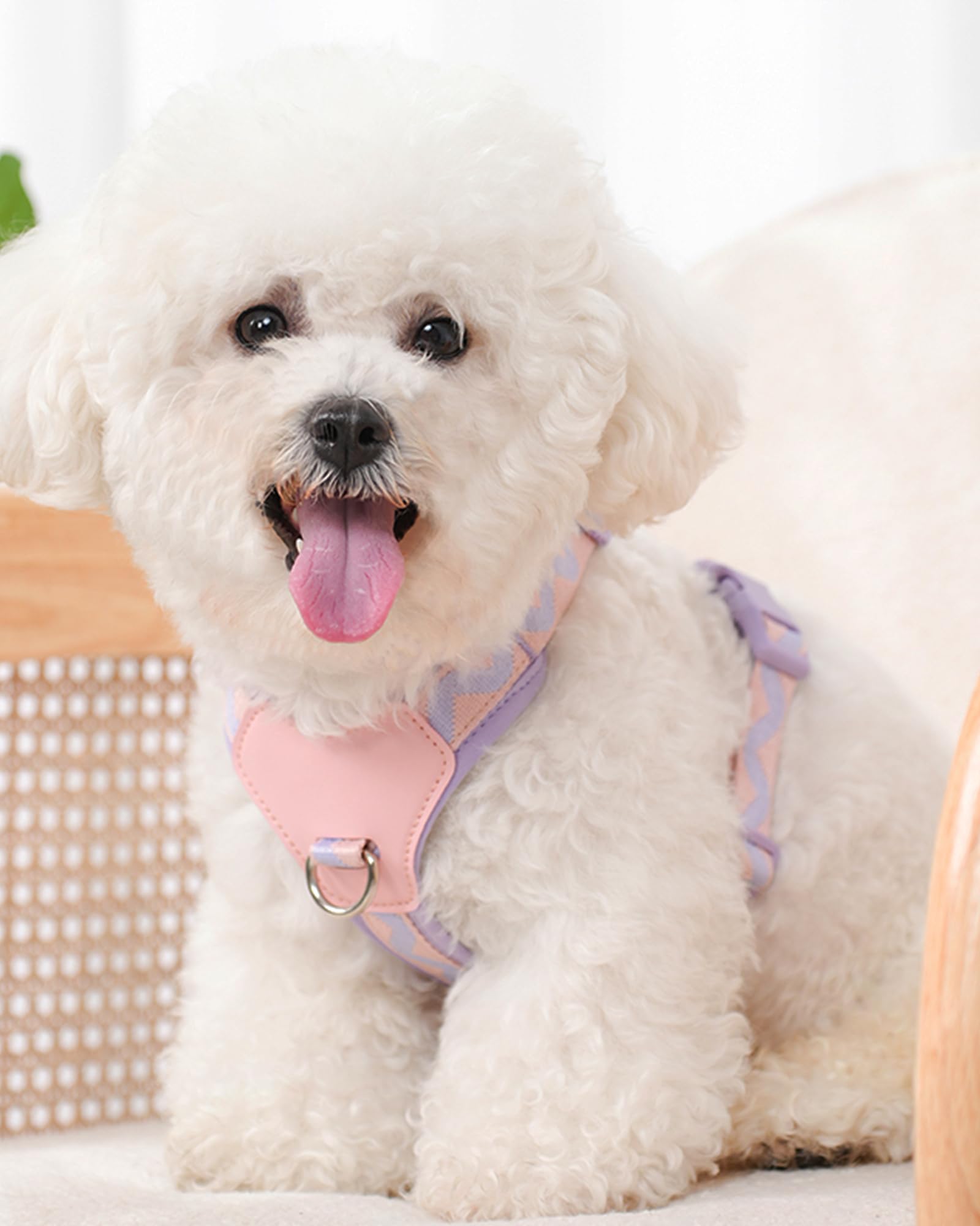 Petank Purple Xs Dog Harness For Small Dogs, No Pull Dog Harness With 2 Leash Clips, Easy Walk Dog Harness Small Sized Dog, Pupp