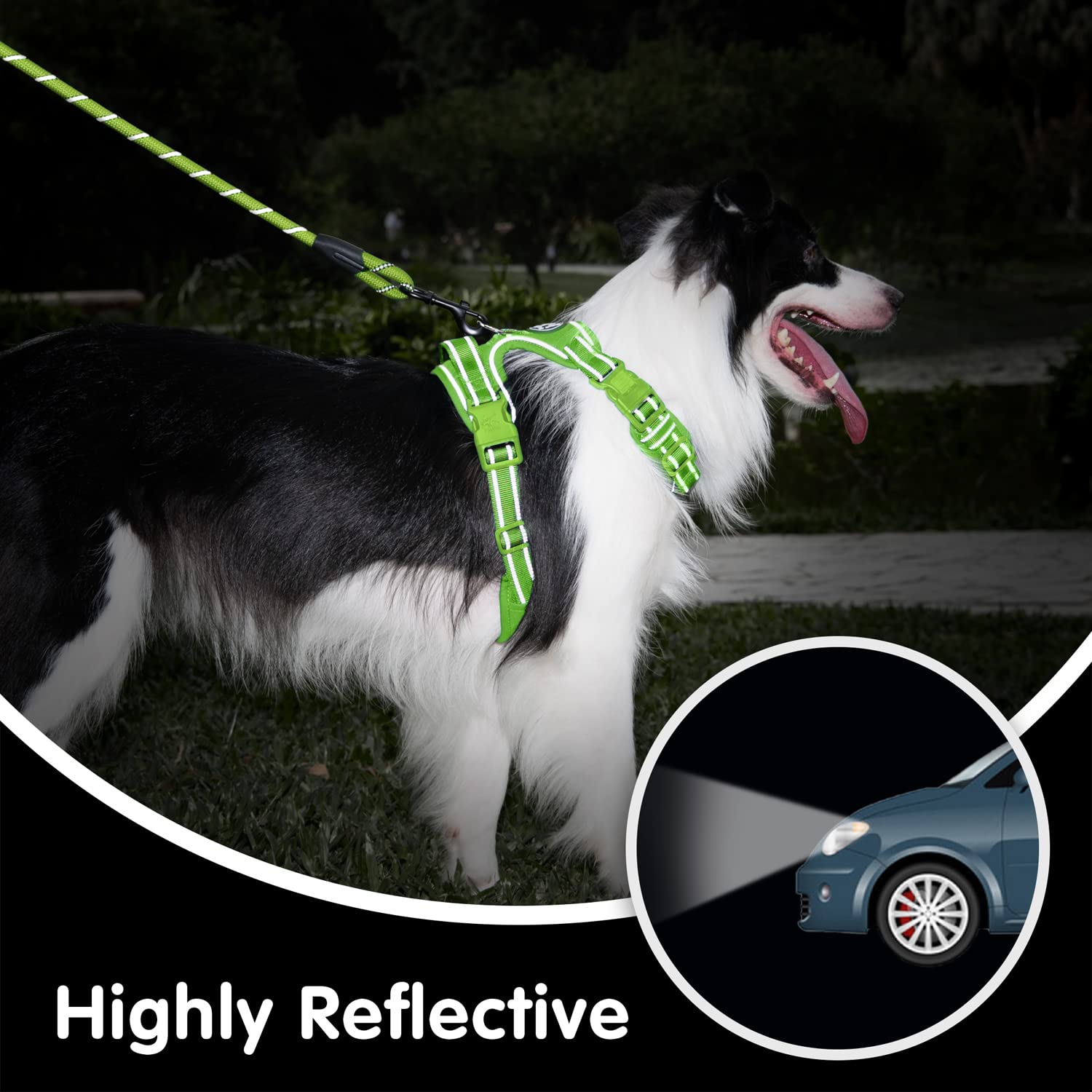 Poypet No Pull Dog Harness And 5 Feet Leash Set, Release On Neck Reflective Adjustable Pet Vest, Front & Back 2 D-Ring And Soft Padded Pet Harness With Handle For Small To Large Dogs(Green,L)