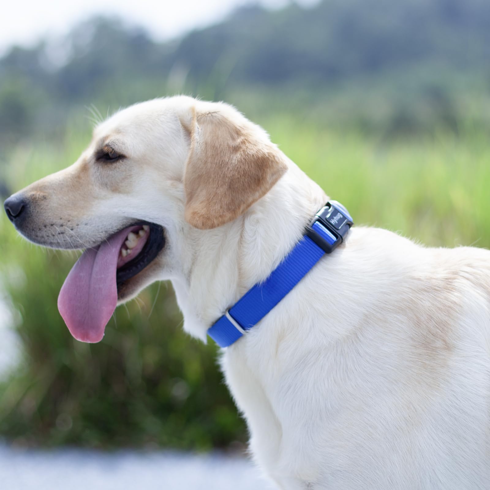 Hyhug Pets Solid Color Classic Regular Heavy Duty Basic Collar For Large Dogs, Unique Design Adjustment Triglide Slide (Buckle)