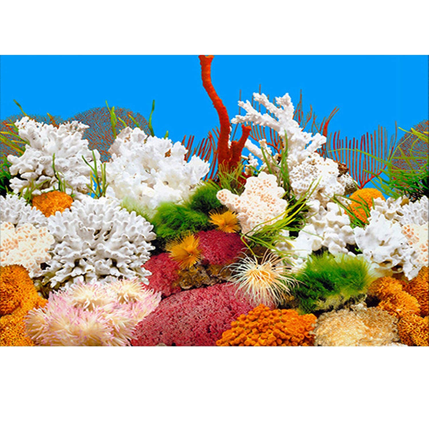 Elebox New 20' X 48' Fish Tank Background 2 Sided River Bed & Lake Background Aquarium