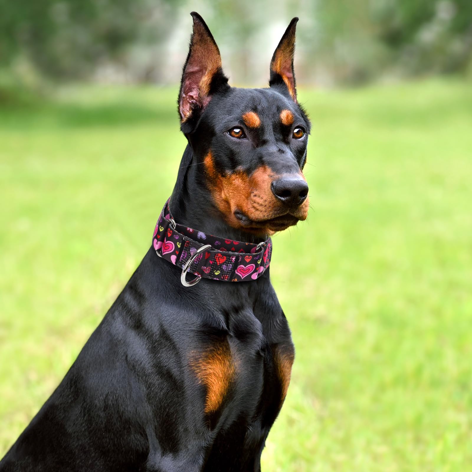 Valentine'S Day 1.5 Inch Wide Martingale Dog Collar, Cute Loving Heart Collar For Medium Large Extra Large Dogs -Heart L