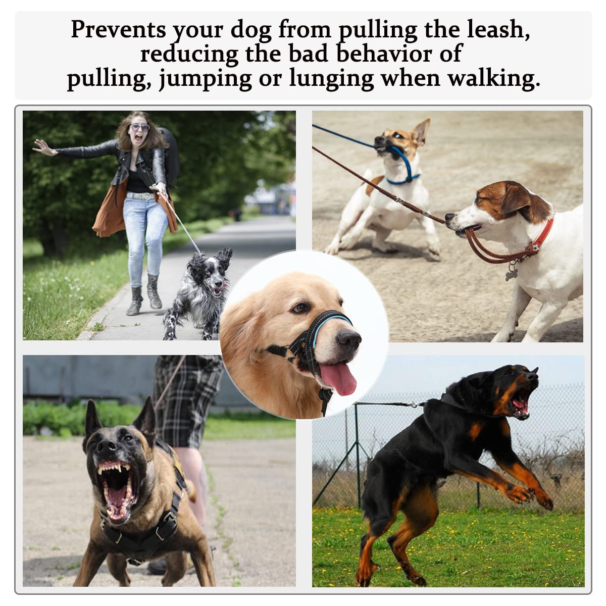 BARKLESS Dog Head Collar - No Pull Halter with Soft Padding, Neoprene, Size S, Blue/Black, Includes Free Training Guide