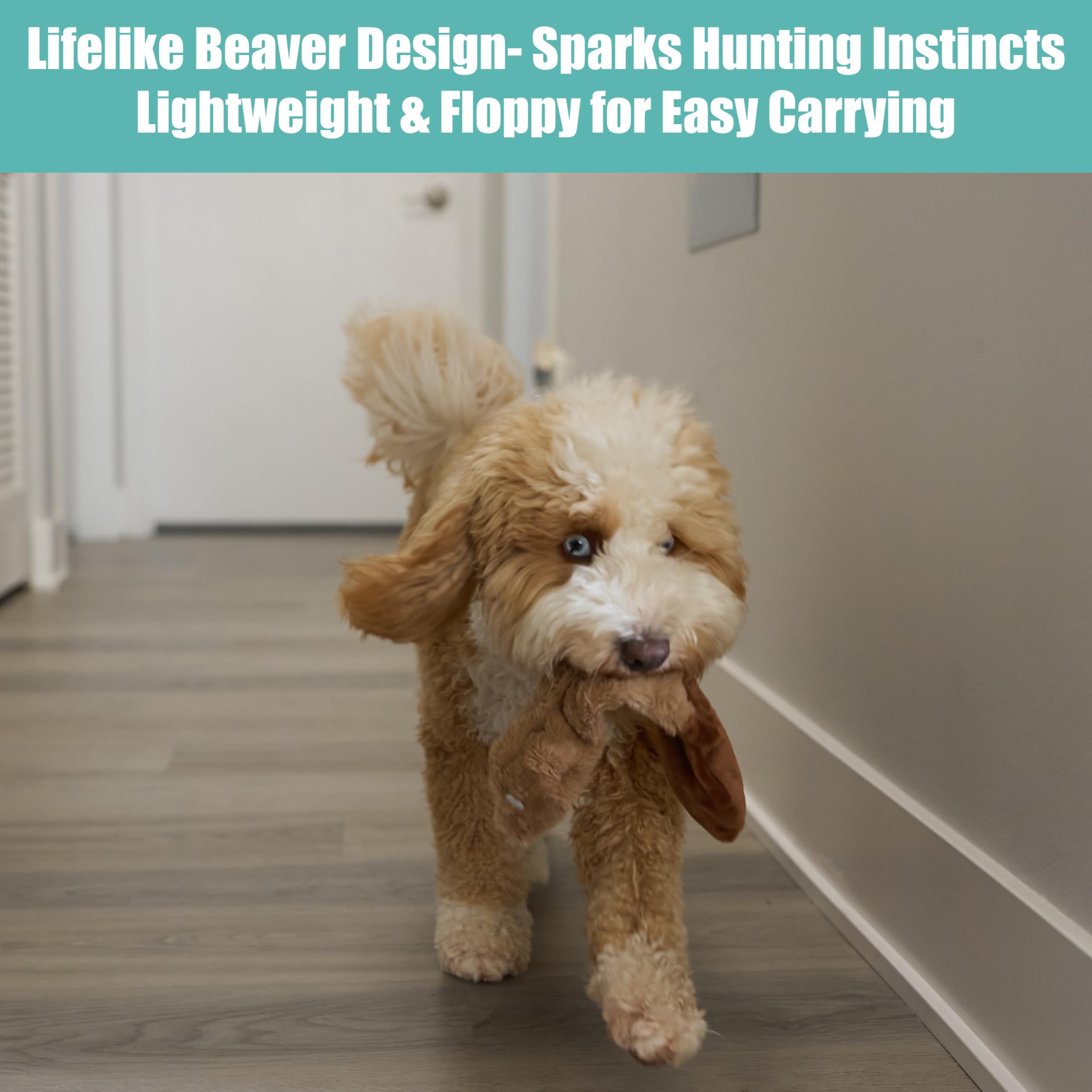 SPOT Skinneeez Beaver Dog Toy - 14 Stuffing-Free Plush Squeaky Dog Toy, Durable Interactive Toy for Small & Medium Dogs, Light t