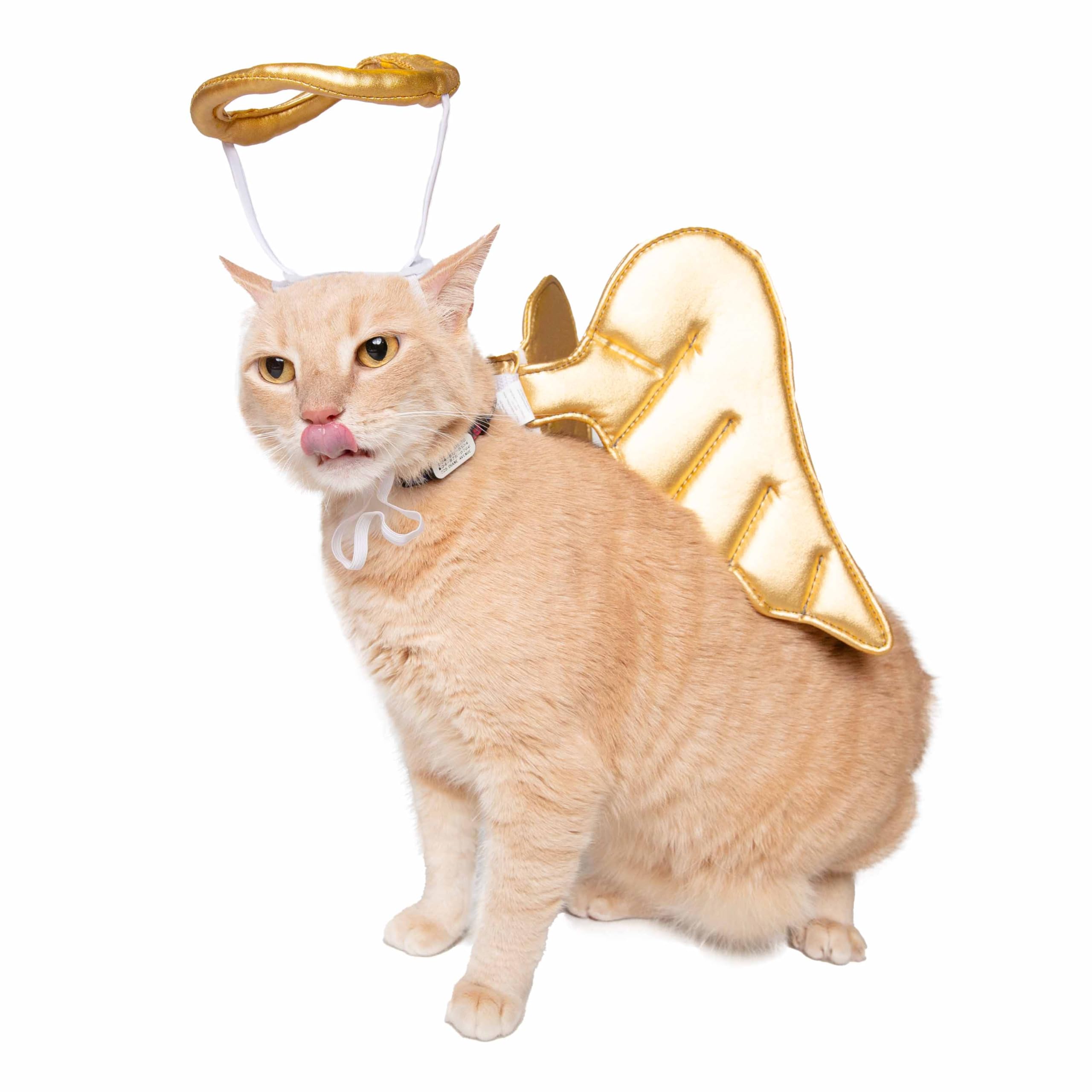 Pet Krewe Angel Dog Costume Wings & Cat Angel Costume Wings - Harness Attachment, One Size Fits All - Perfect For Halloween, Christmas Holiday, Parties, Photoshoots, Gifts For Dog & Cat Lovers