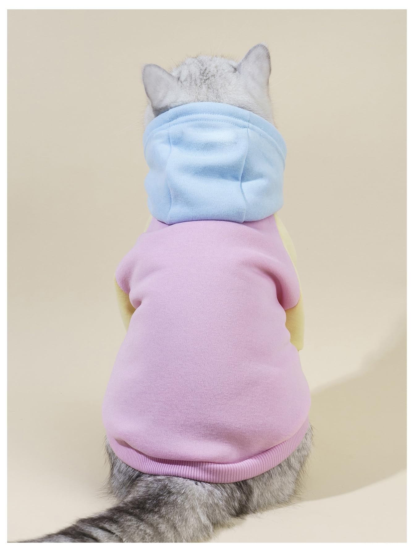 Qwinee Basic Dog Hoodie & Cat Apparel - Dog & Cat Warm Jacket, Shirt & Clothes - Puppy & Kitten Sizes - Pink X-Large