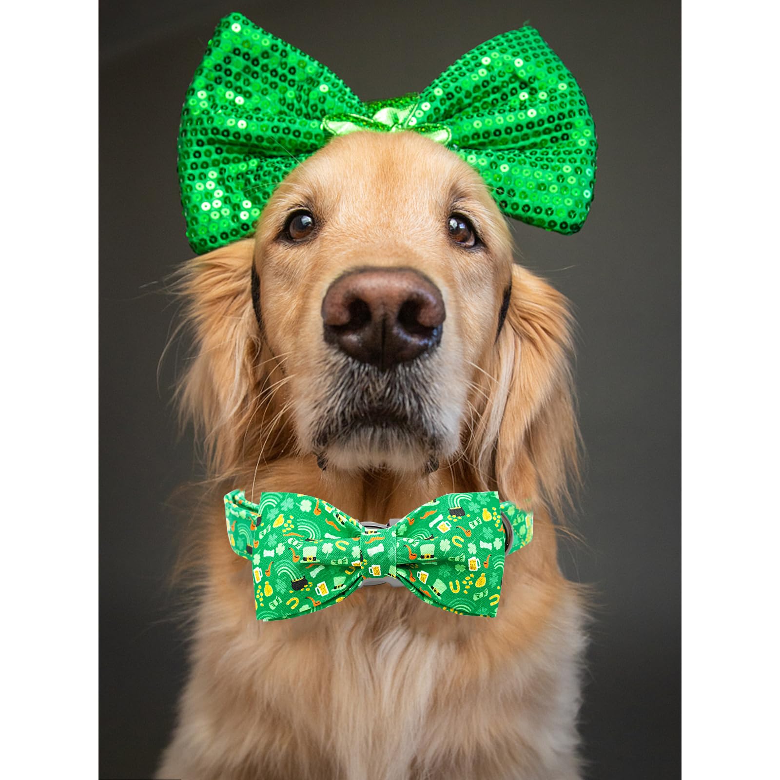 Lionheart Glory St. Patrick'S Day Dog Collar For X-Small Dogs - Adjustable Green With Lucky Clover Shamrock And Bowtie