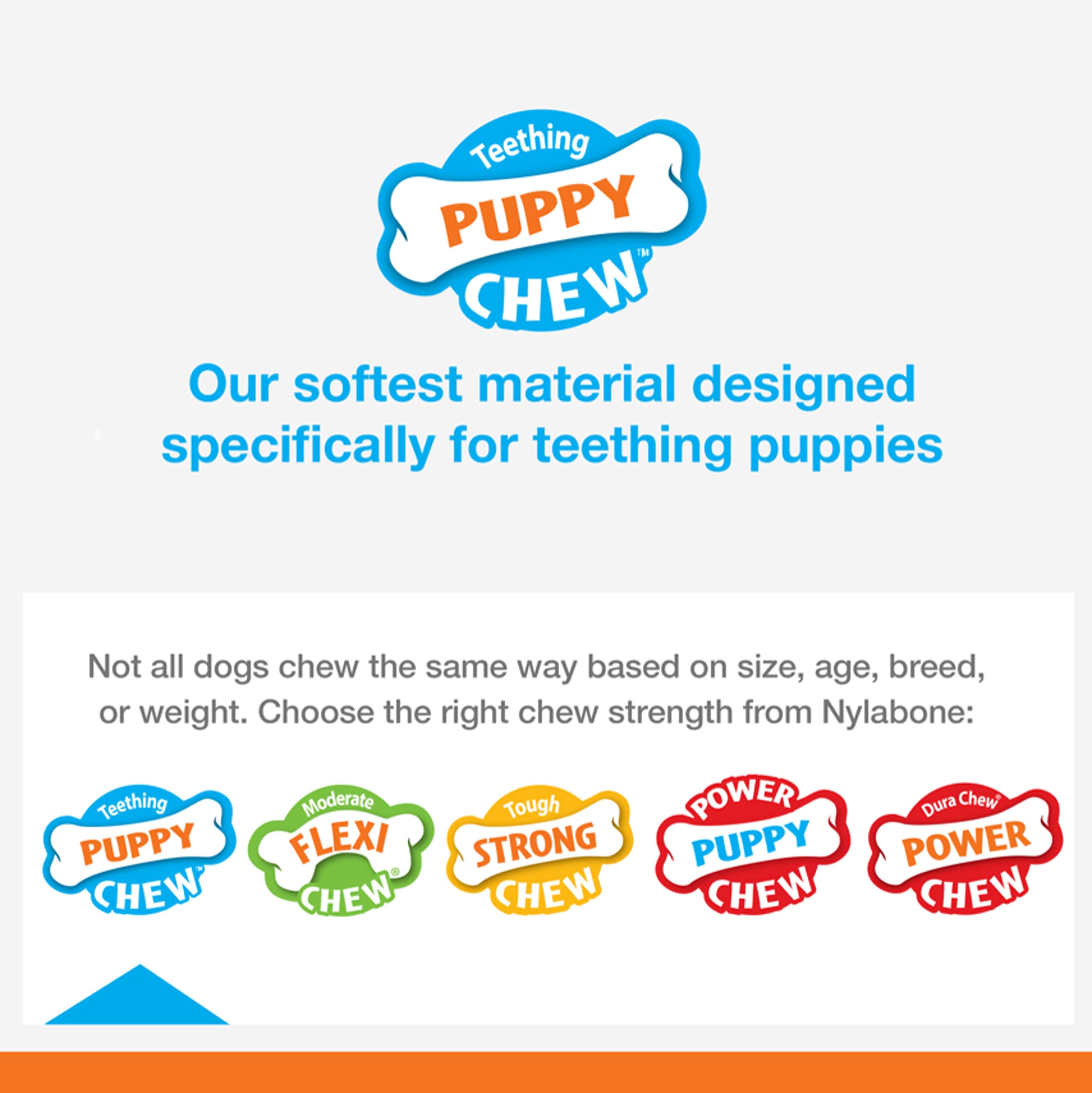 Nylabone Classic Puppy Chew Toy Twin Pack - Puppy Chew Toys For Teething - Puppy Supplies - Chicken & Peanut Butter Flavor, X-Small/Petite (2 Count)