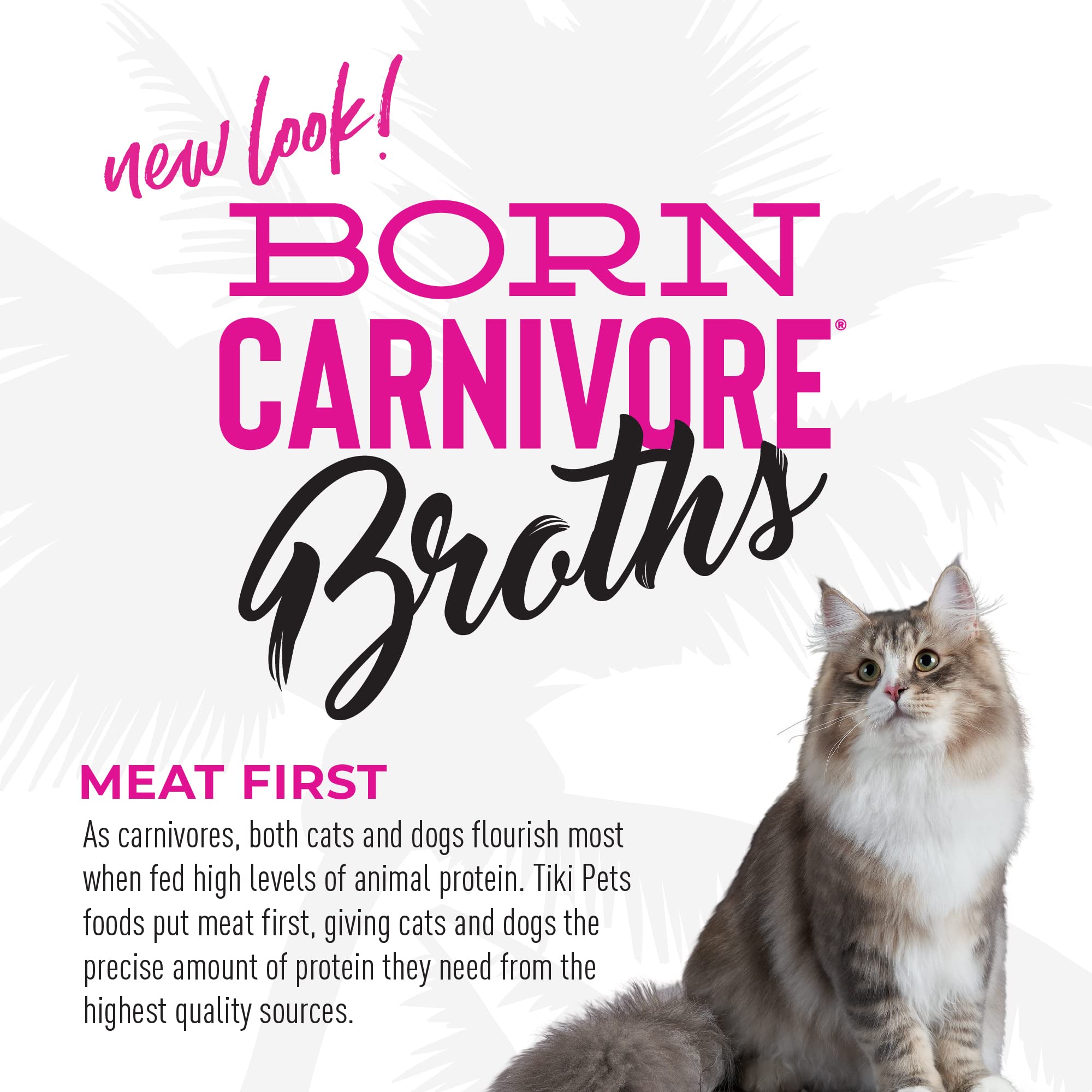 Tiki Cat Born Carnivore Broths, Salmon Recipe, Hydration and Flavor Supplement Cat Food Topper, 1.3 oz. Pouch (Pack of 12)