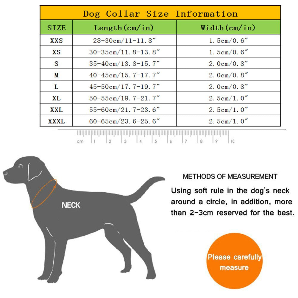 Creation Core Reflective Nylon Dog Collar And Training Leash Set For All Season Padded Durable Adjustable, Blue Xl