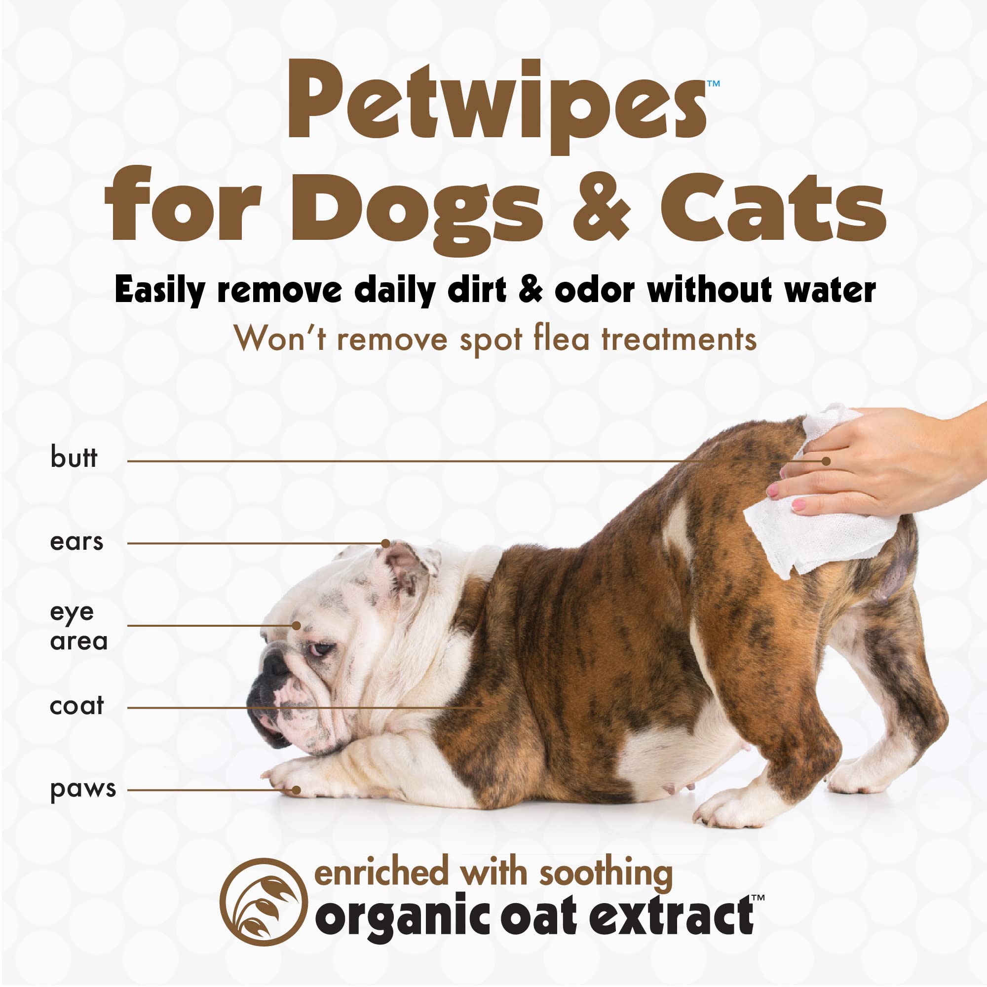 Petkin Pet Wipes for Dogs & Cats - Oatmeal, 200 Large Wipes, Soothes Itchy Skin & Cleans Ears, Face, Body, and Eye Area - 2