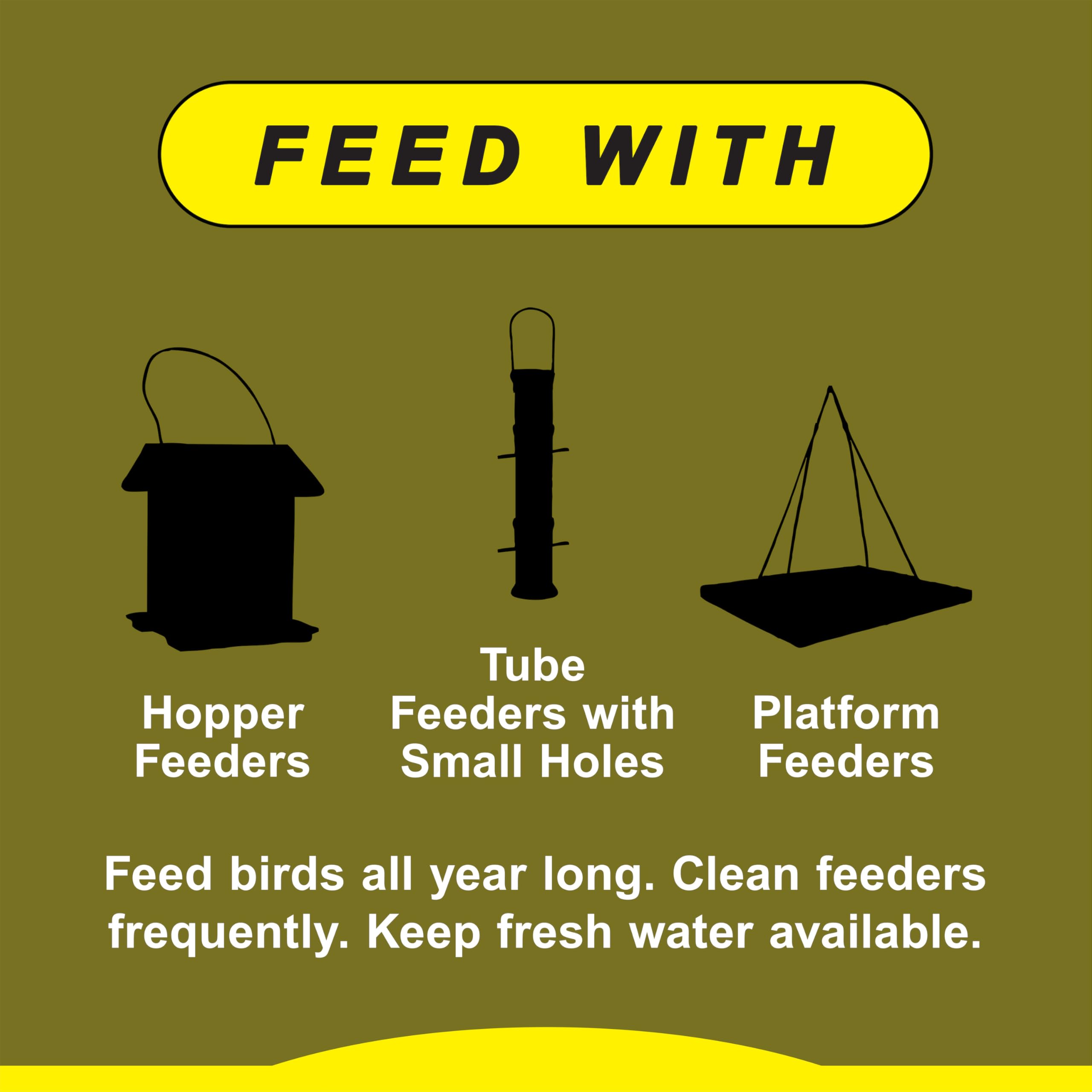 BIRDFOOD SPECIAL FNCH 5# (Pack of 1)