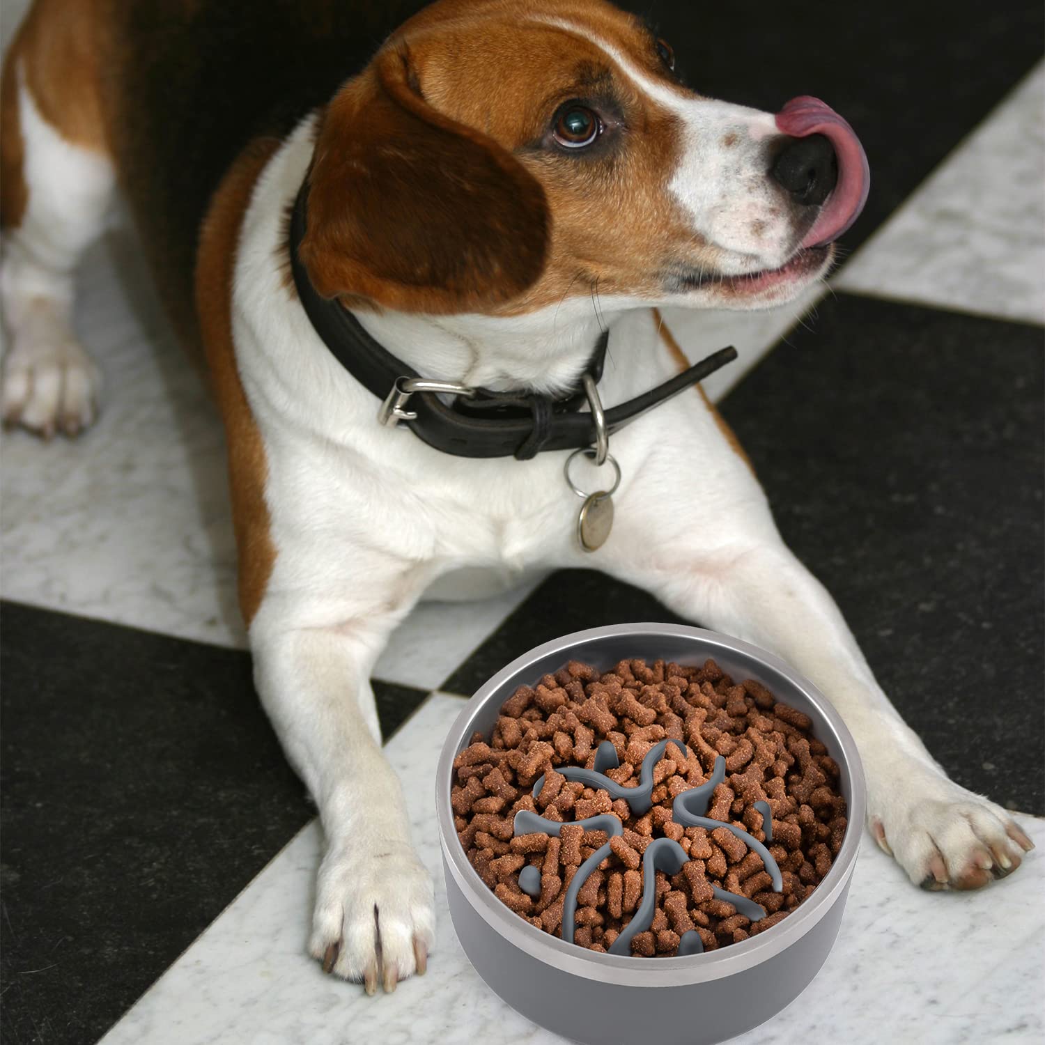 Jaoul Slow Feeder Dog Bowls Insert, Puzzle Slow Feeder with 51 Octopus Suction Cups for Medium Large Size Dog Bowls Over 6.5'' W